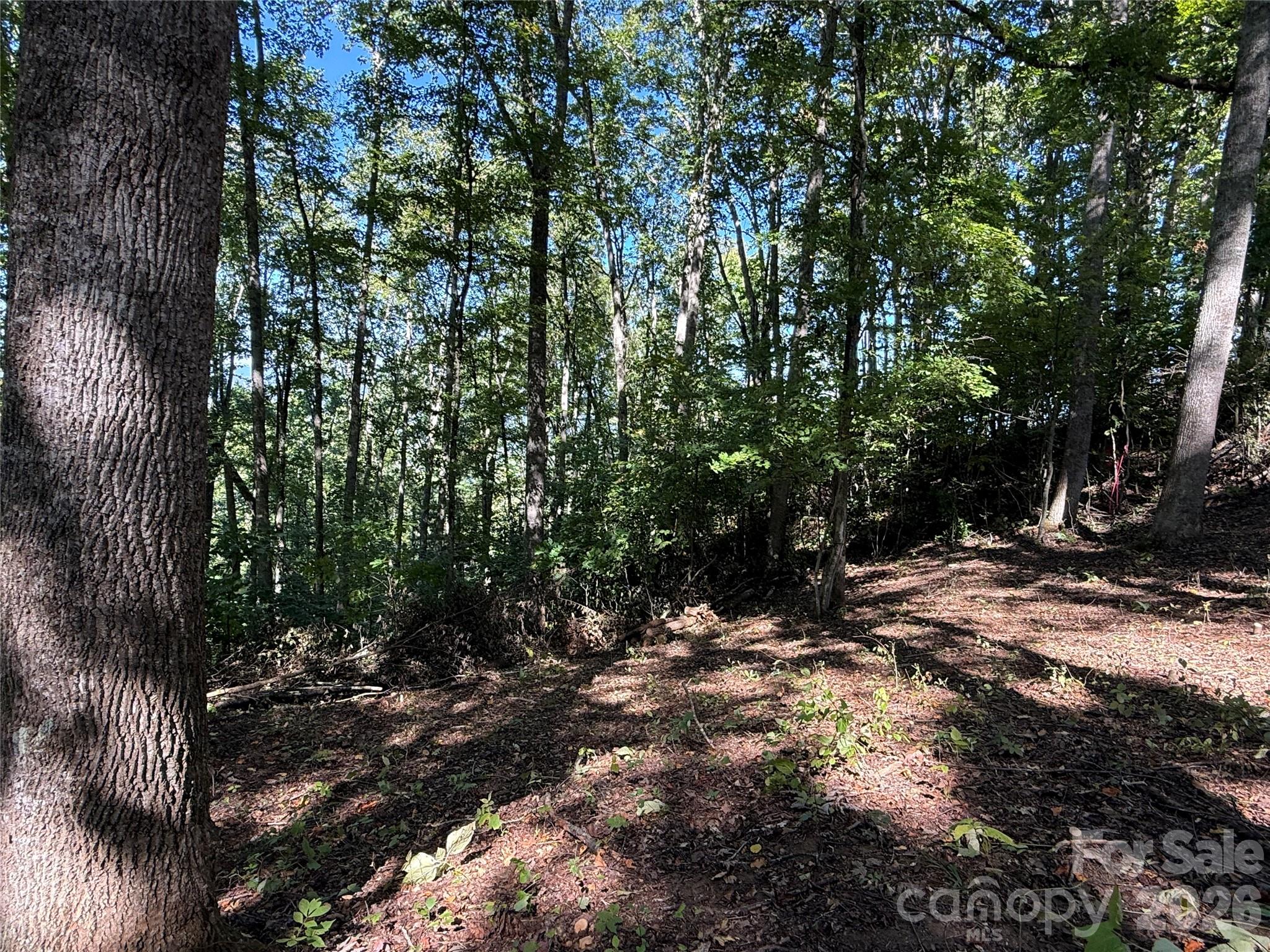 Lot at 9999 Elk Ridge Drive, Asheville, photo 7 of 20