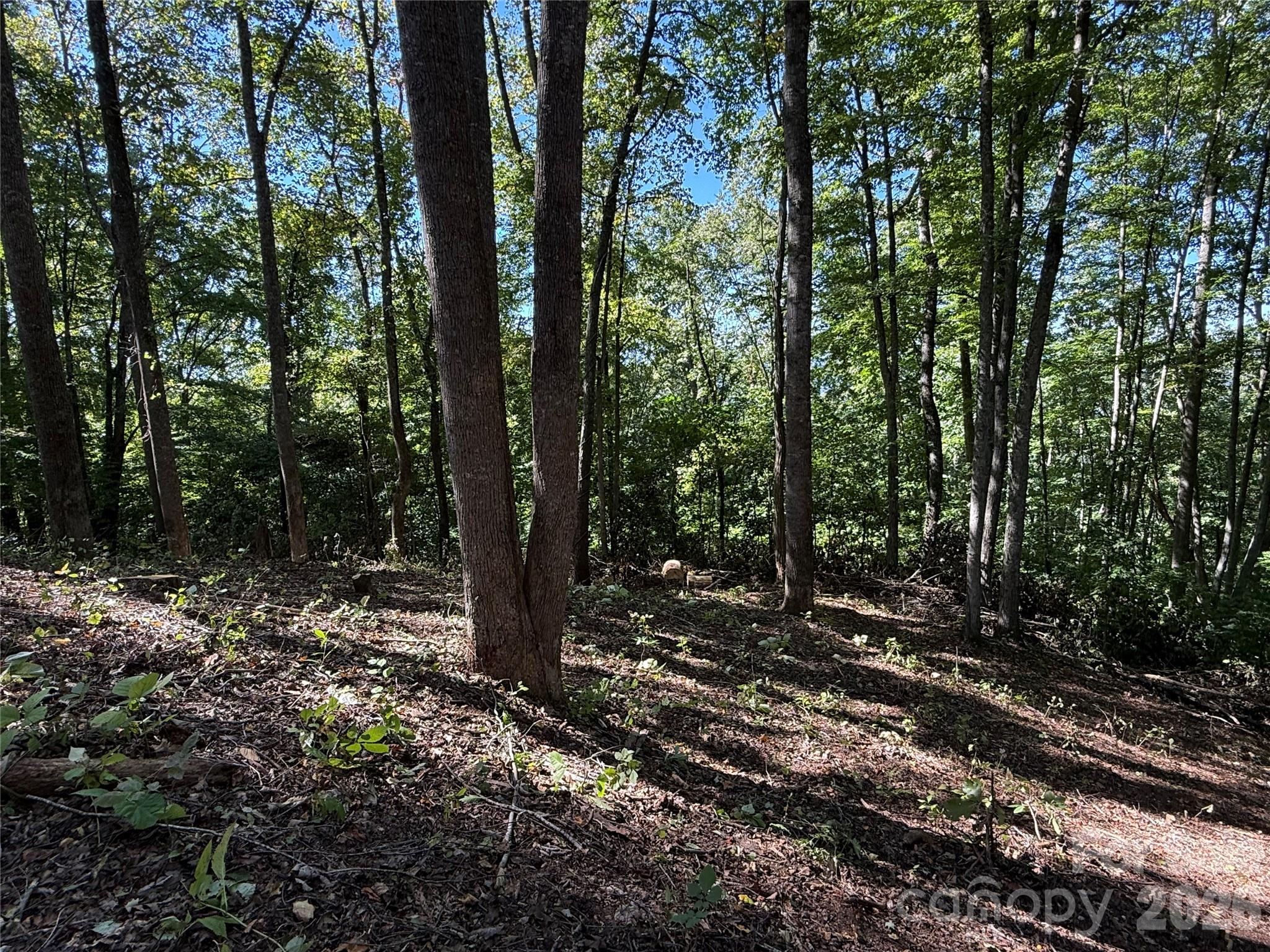 Lot at 9999 Elk Ridge Drive, Asheville, photo 9 of 20