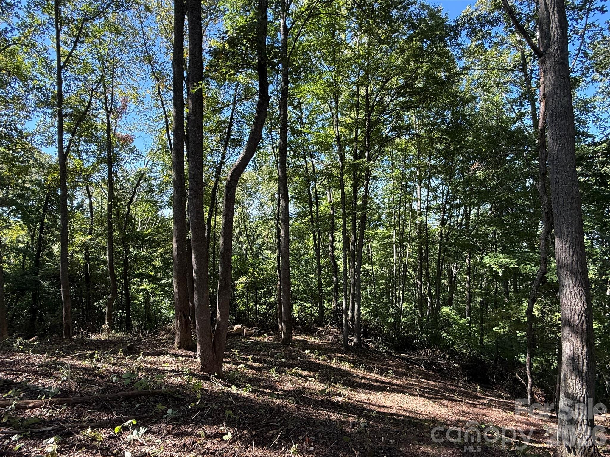 Lot at 9999 Elk Ridge Drive, Asheville, photo 10 of 20