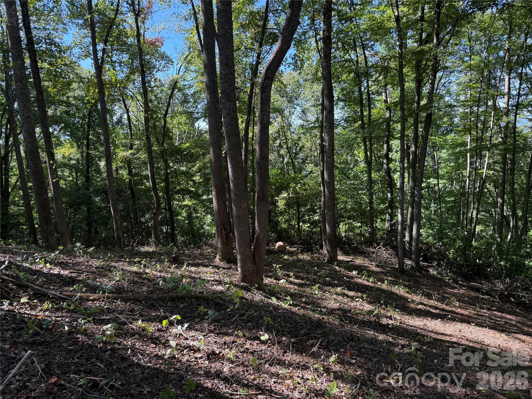 Lot at 9999 Elk Ridge Drive, Asheville, photo 11 of 20
