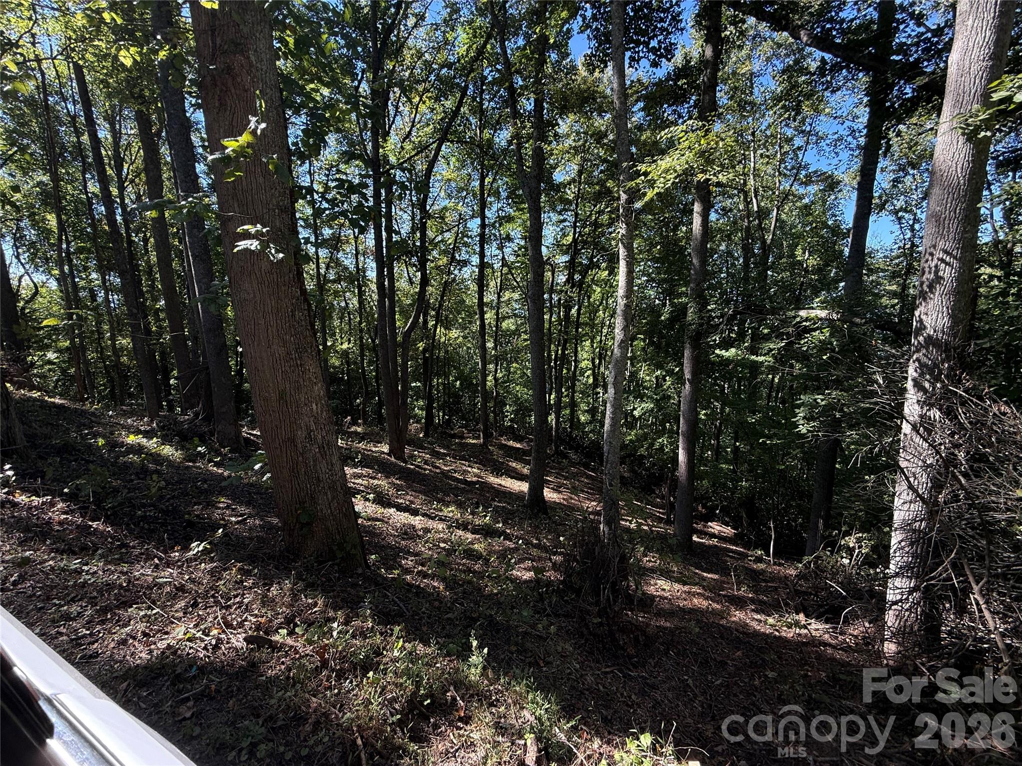 Lot at 9999 Elk Ridge Drive, Asheville, photo 13 of 20