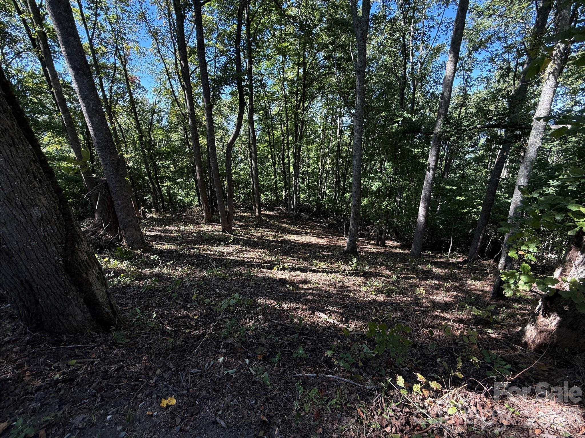 Lot at 9999 Elk Ridge Drive, Asheville, photo 14 of 20