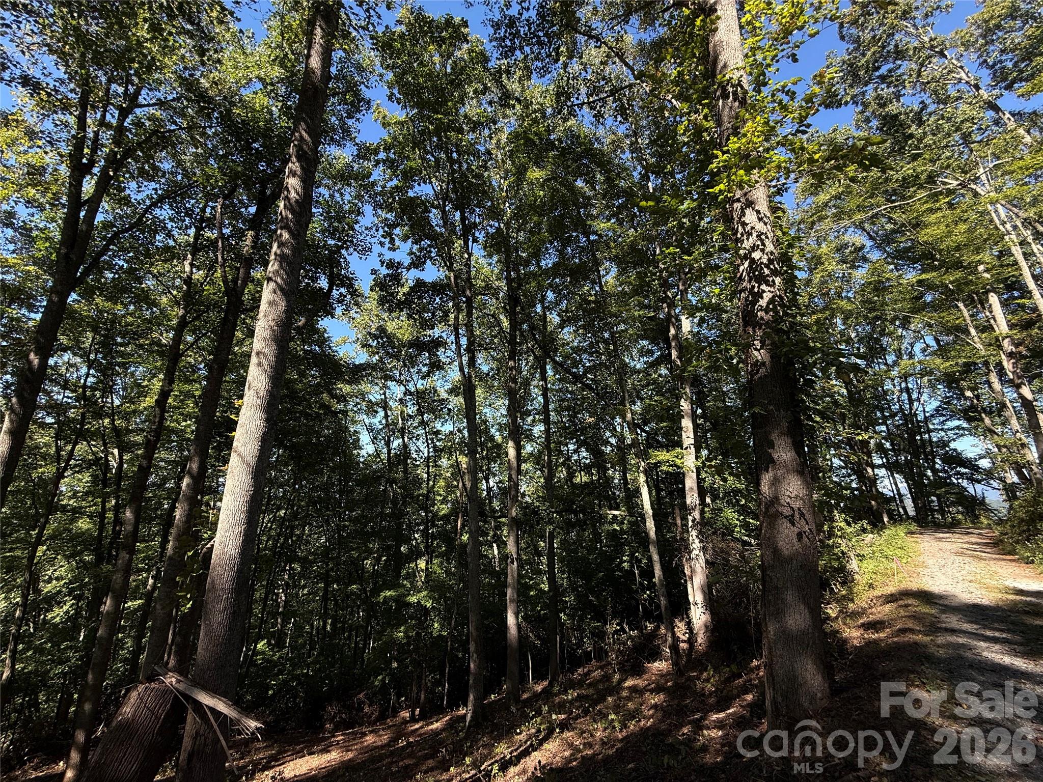 Lot at 9999 Elk Ridge Drive, Asheville, photo 17 of 20