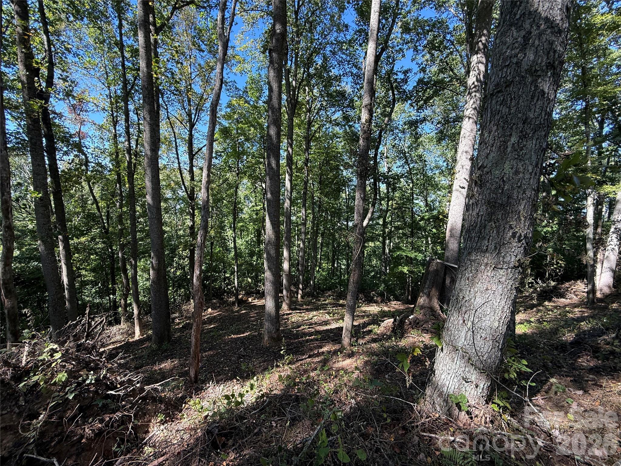 Lot at 9999 Elk Ridge Drive, Asheville, photo 19 of 20