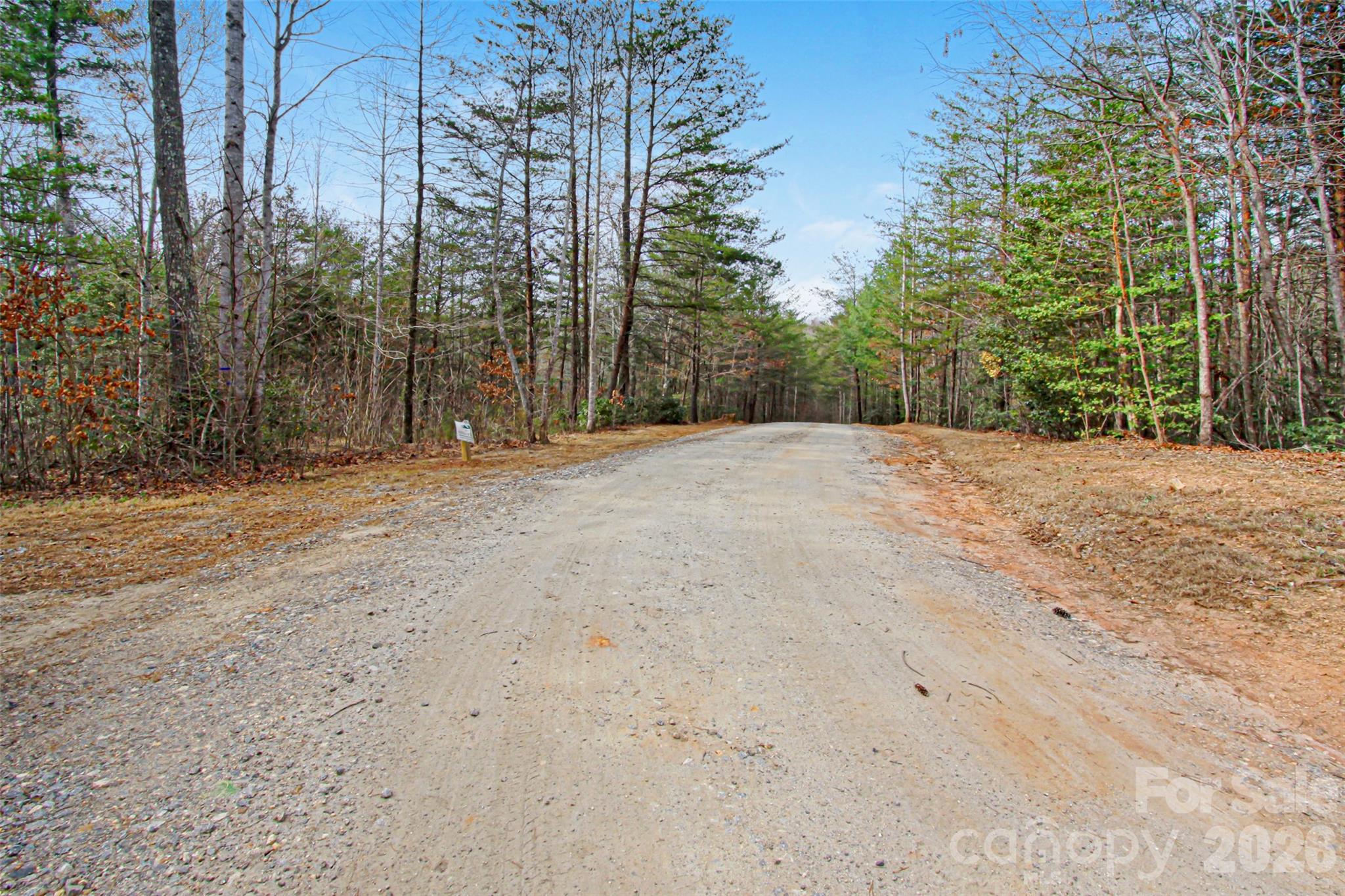 Looking back down Dogwood Way from the entrance to the old logging road. - 5360 Dogwood Way, Lenoir