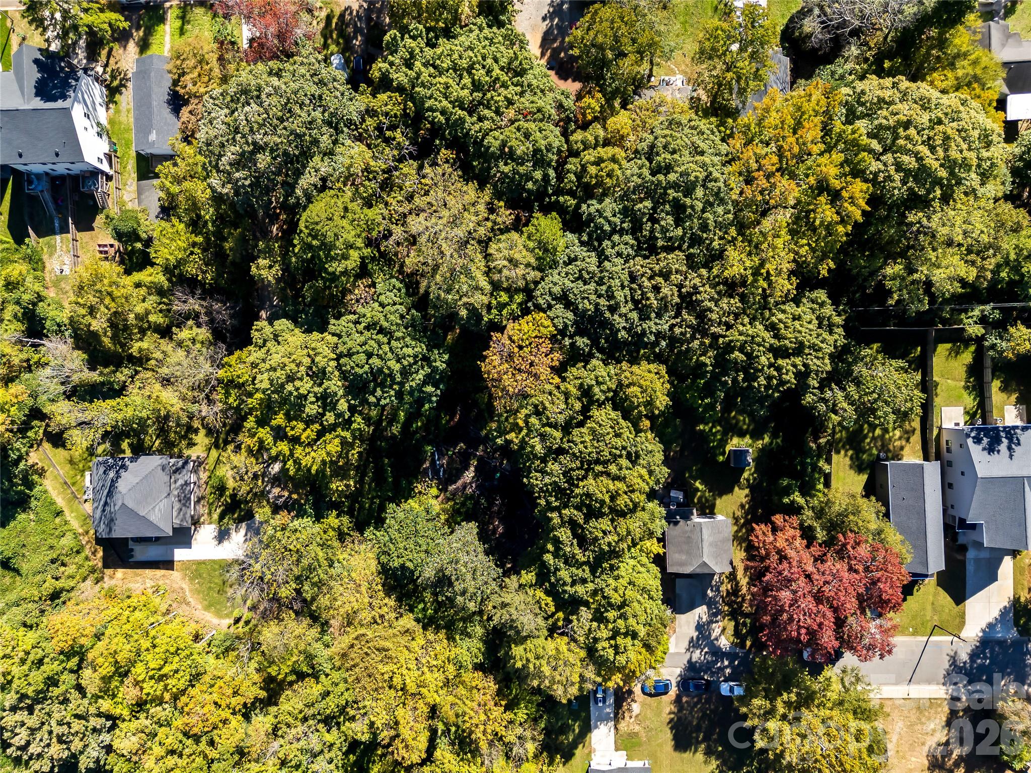 Lot at 805 Holland Avenue, Charlotte, photo 2 of 22