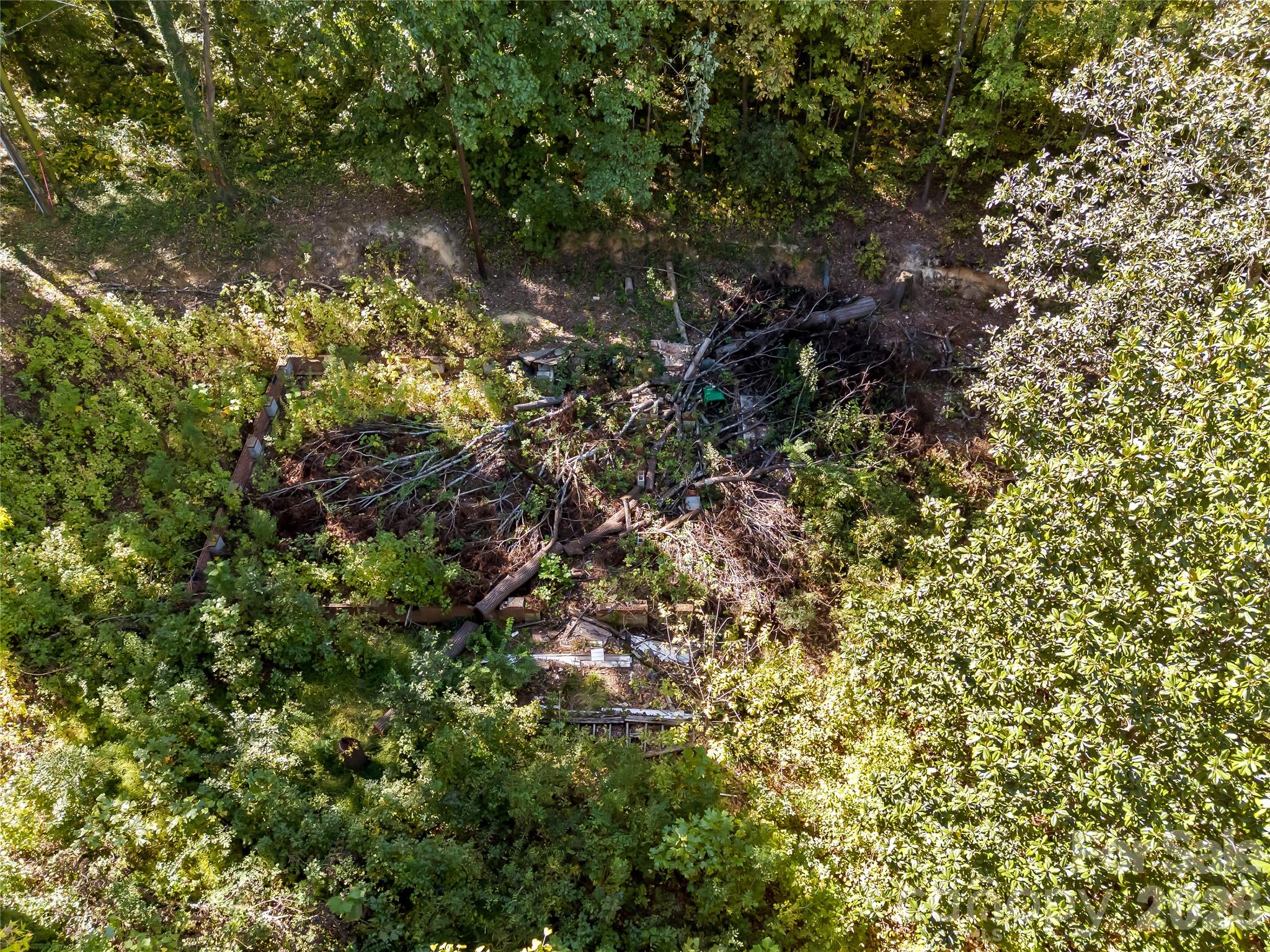 Lot at 805 Holland Avenue, Charlotte, photo 9 of 22