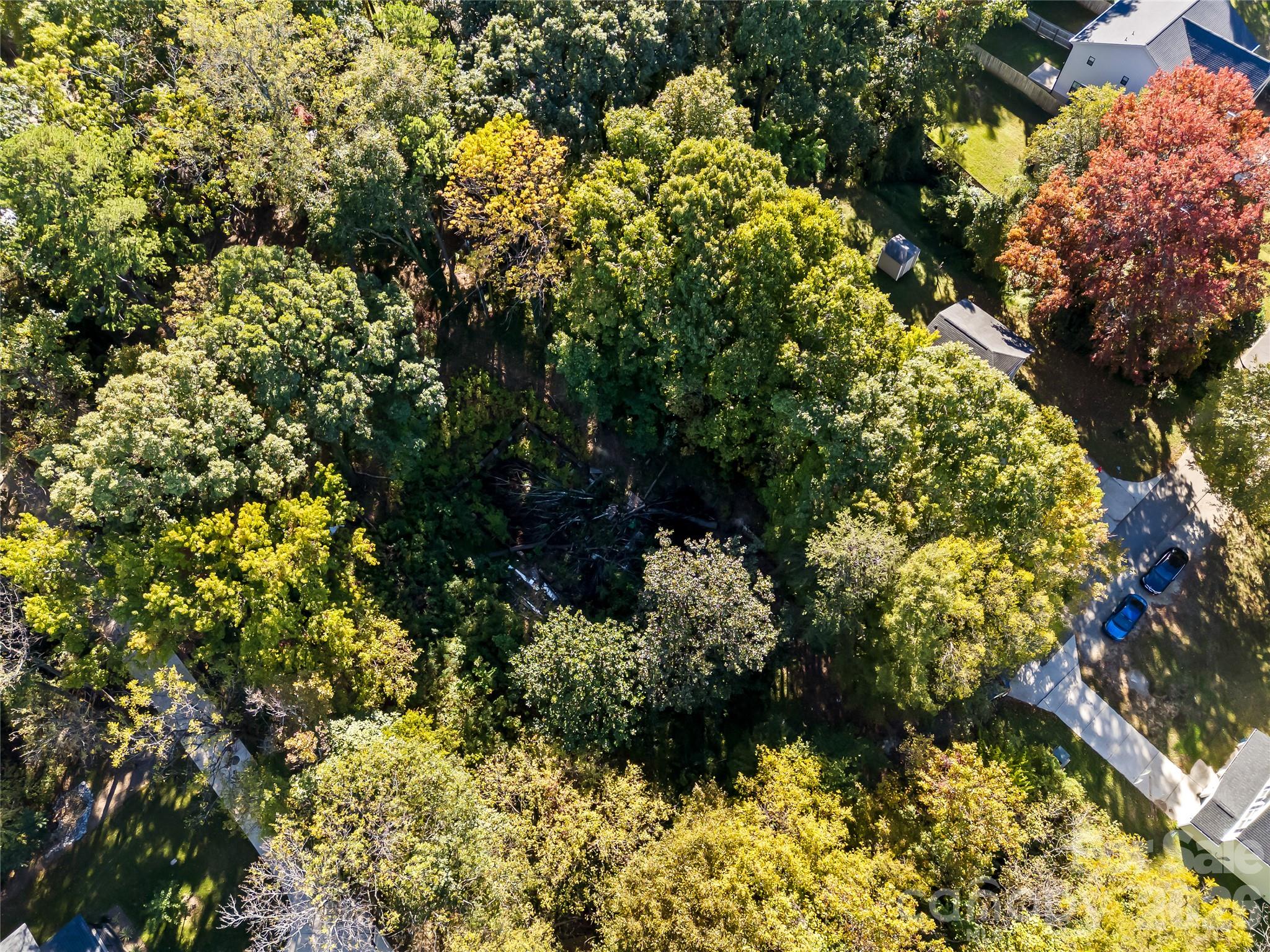 Lot at 805 Holland Avenue, Charlotte, photo 13 of 22