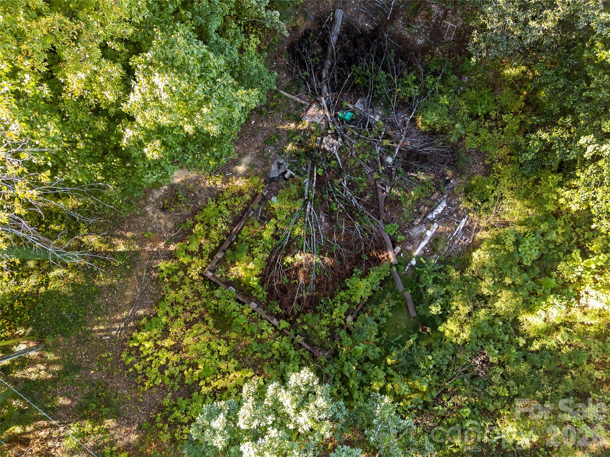 Lot at 805 Holland Avenue, Charlotte, photo 15 of 22