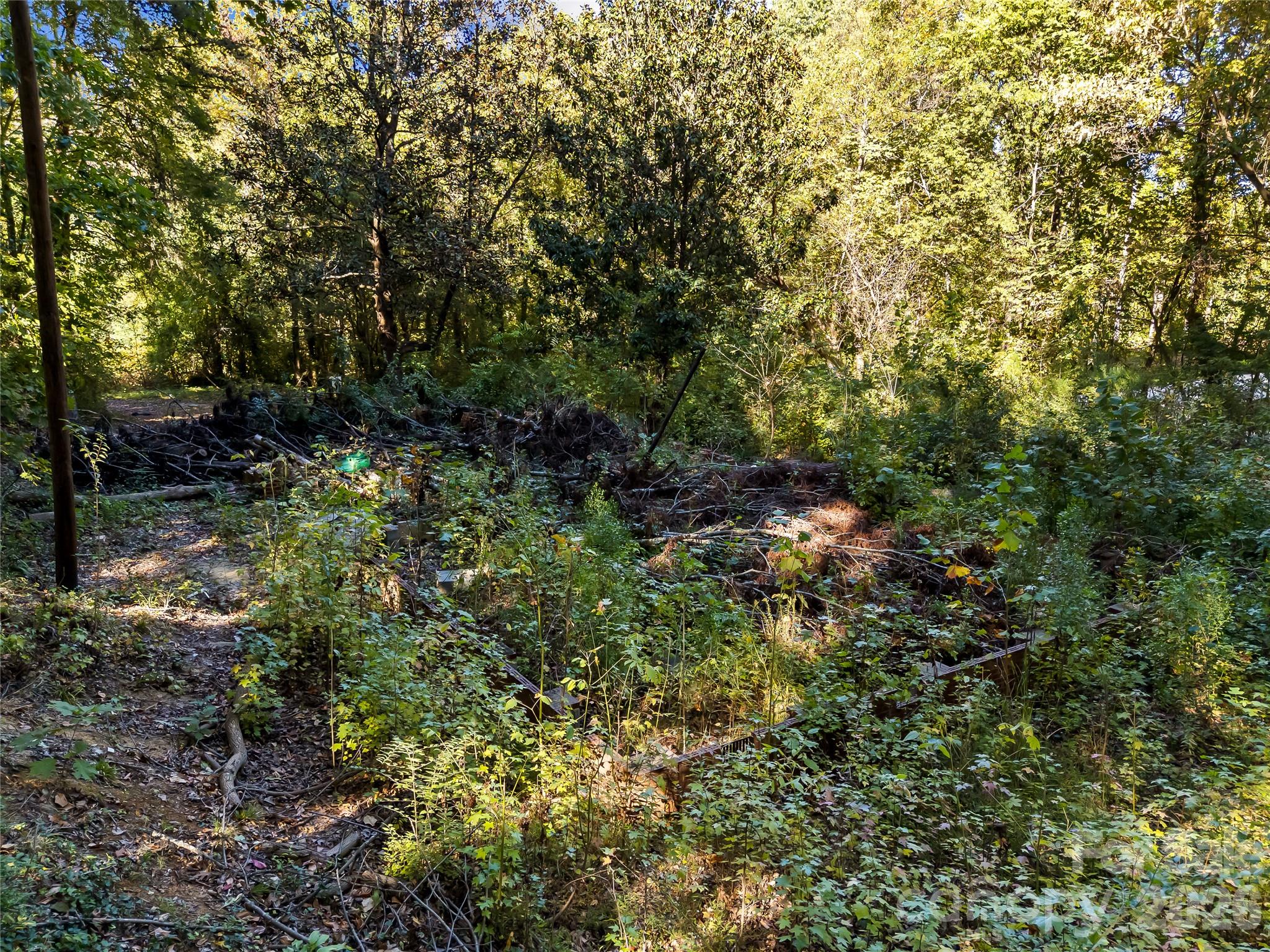 Lot at 805 Holland Avenue, Charlotte, photo 17 of 22