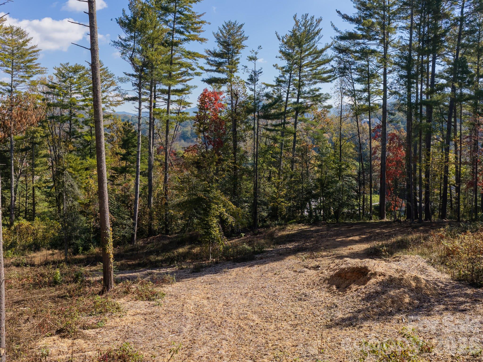 Cleared Area for an Additional Homesite - 2039 Cane Creek Road, Fletcher