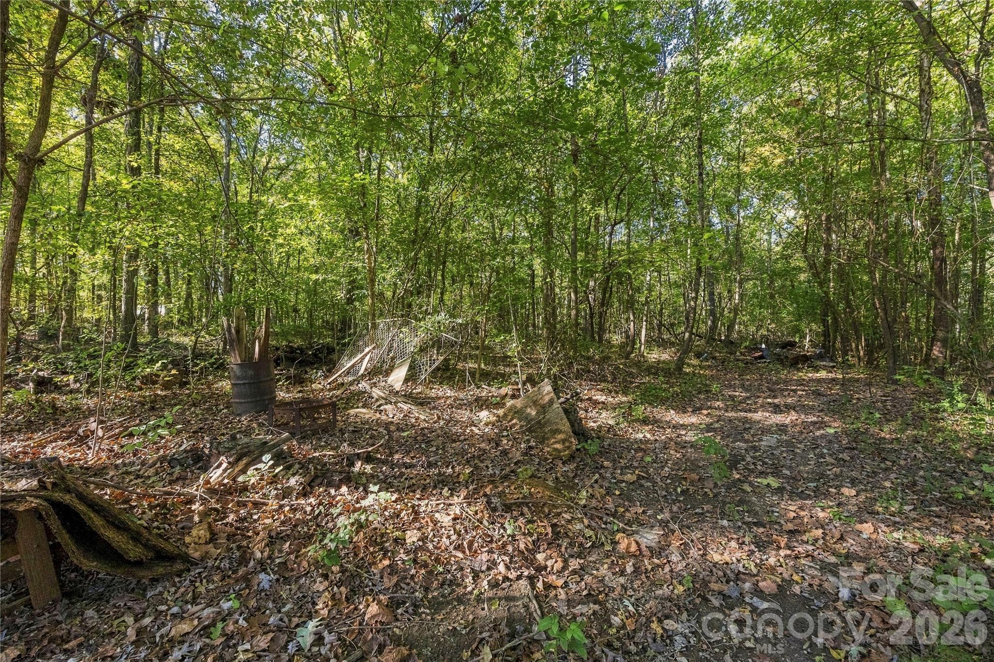 Wooded Lot - 22578 S Nc Highway 109 None, Denton