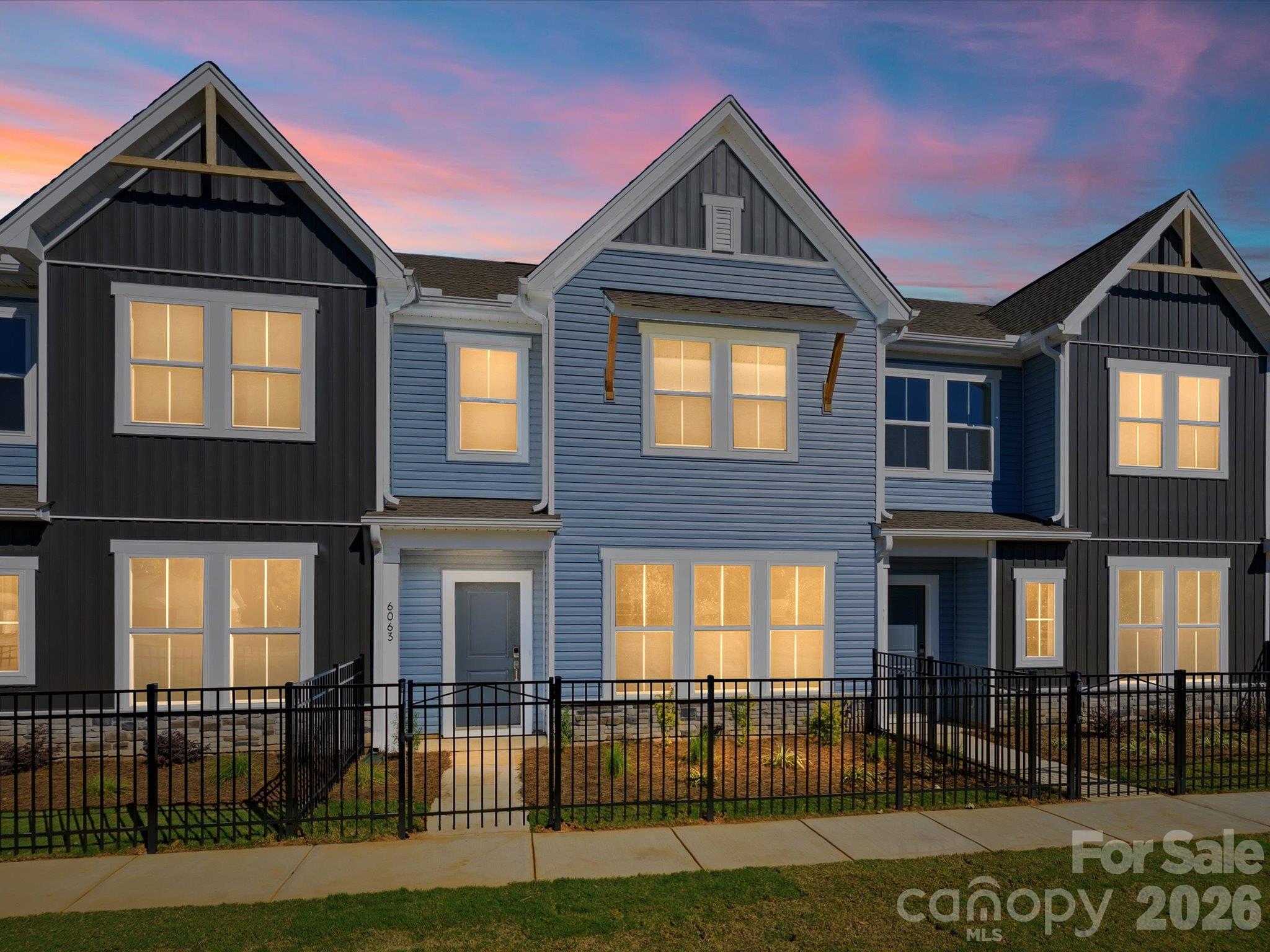Townhouse at 6063 White Aster Lane, Charlotte, photo 2 of 69