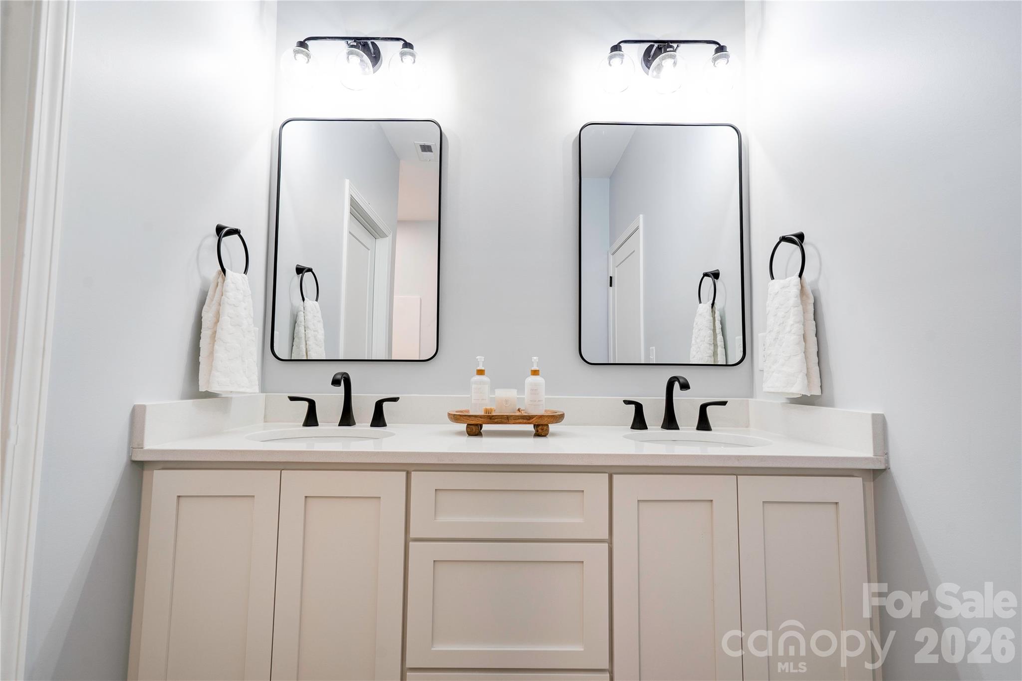 Primary Bathroom Vanity - 231 Hardin Circle, Grover