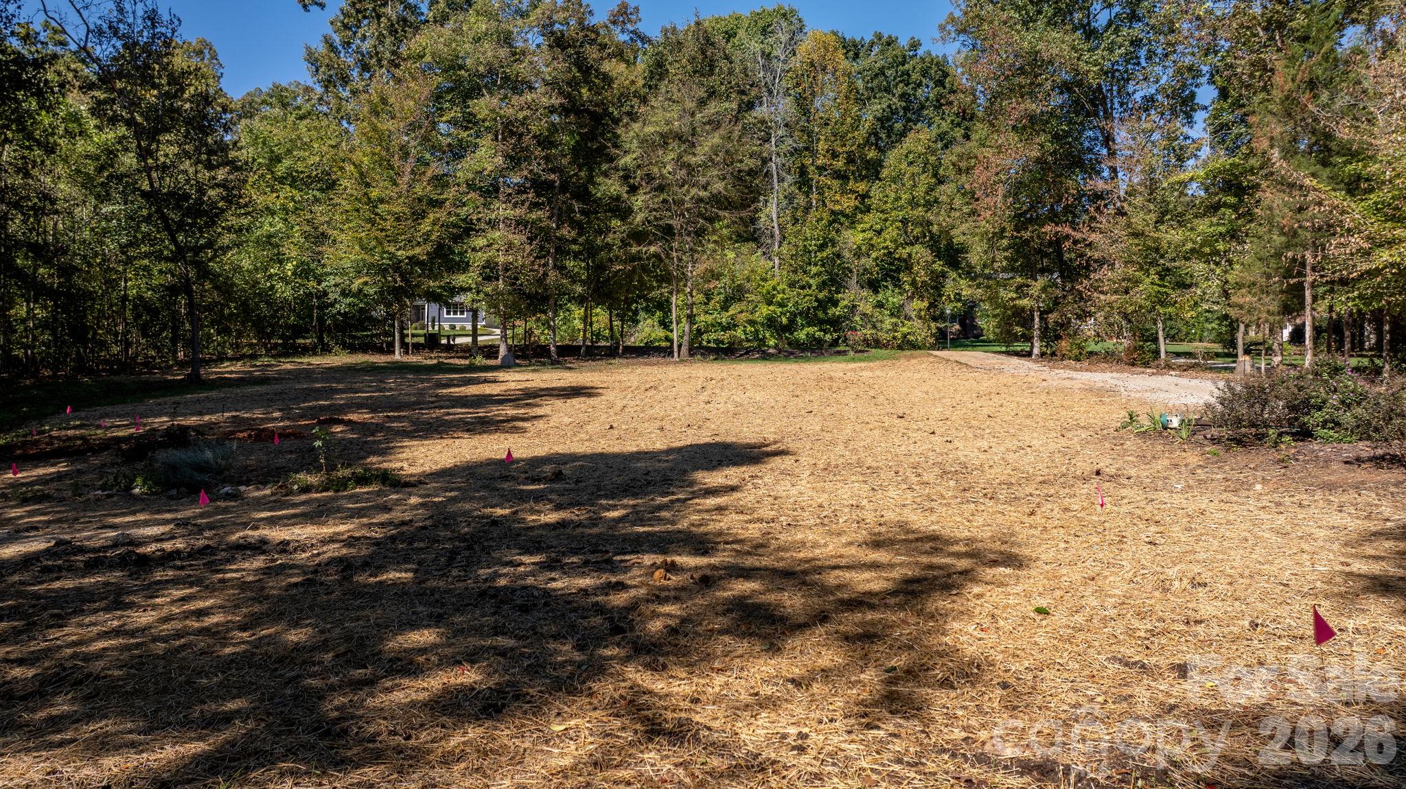 Cleared area ready for home, septic lines are flagged off - 1190 Hinsdale Avenue, Mt Ulla