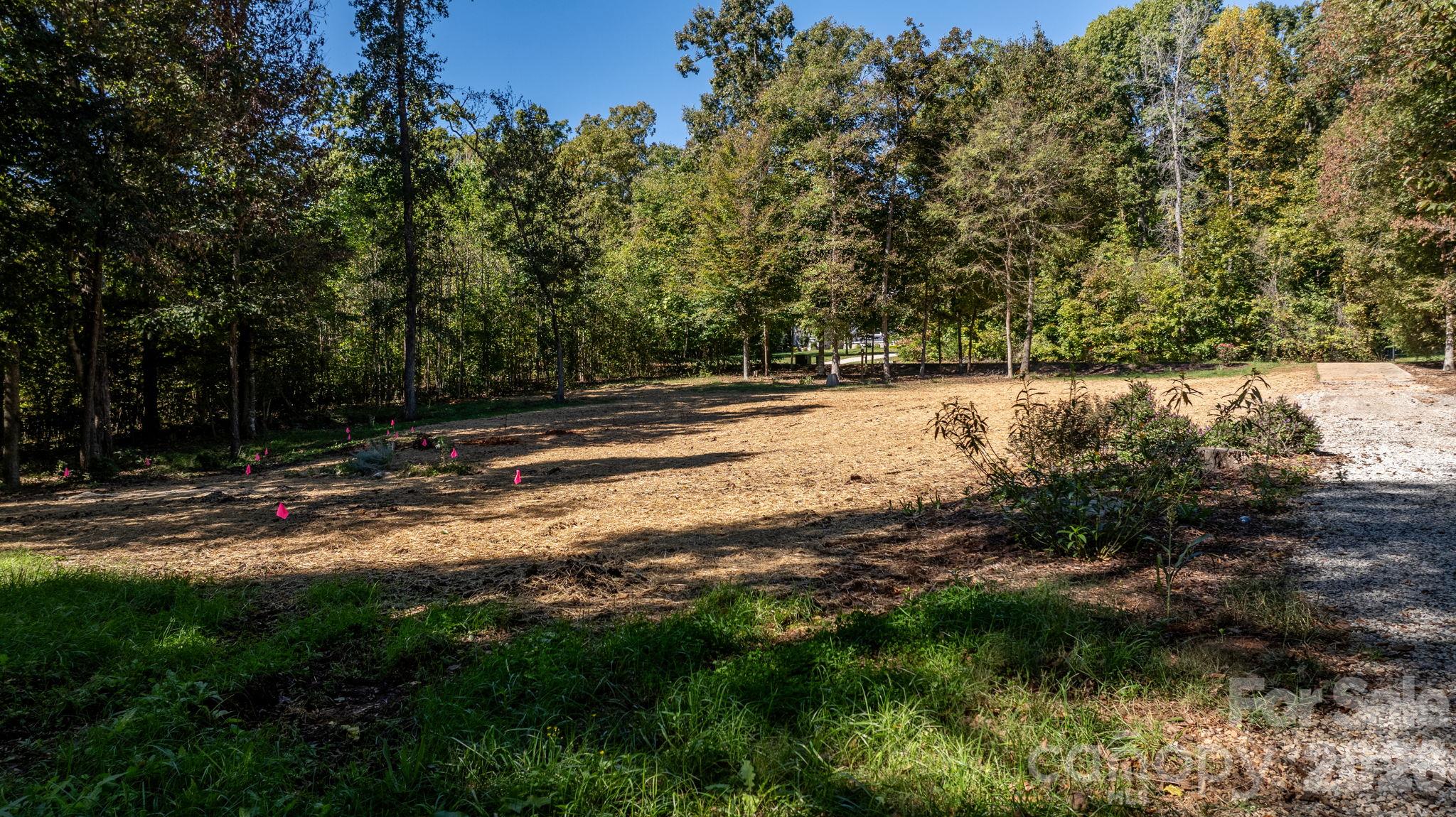 Lot at 1190 Hinsdale Avenue, Mt Ulla, photo 9 of 48