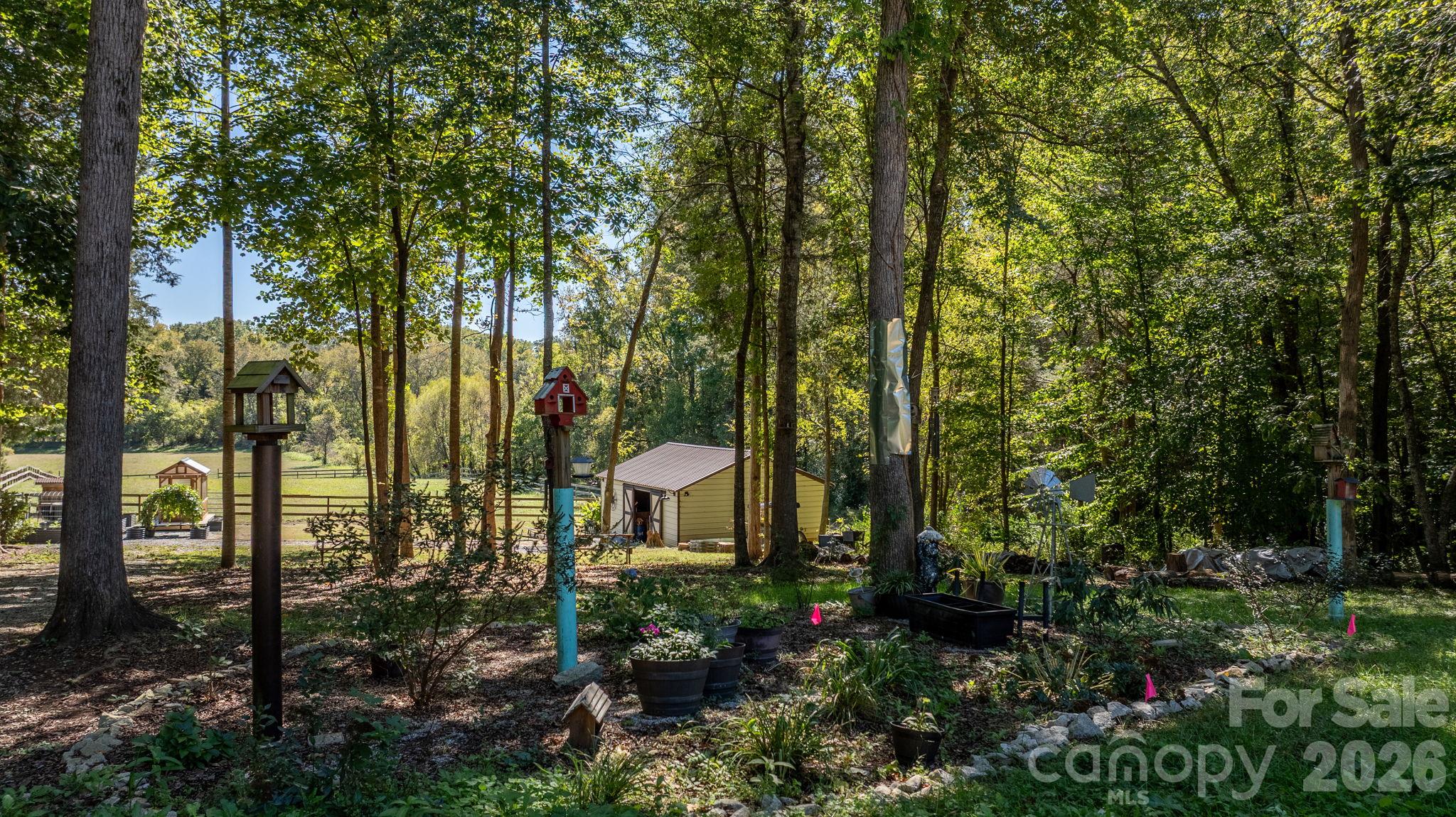 Natural area between the barn and where the homesite is - 1190 Hinsdale Avenue, Mt Ulla