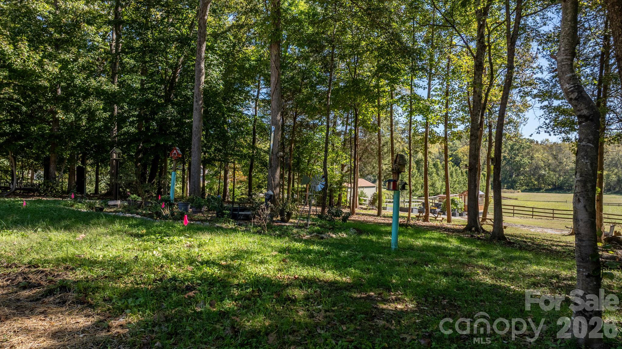 Lot at 1190 Hinsdale Avenue, Mt Ulla, photo 11 of 48
