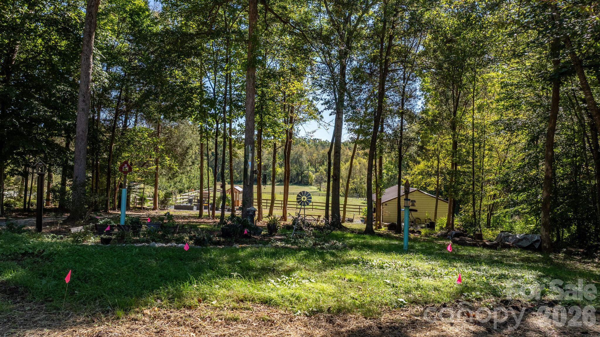 Lot at 1190 Hinsdale Avenue, Mt Ulla, photo 12 of 48
