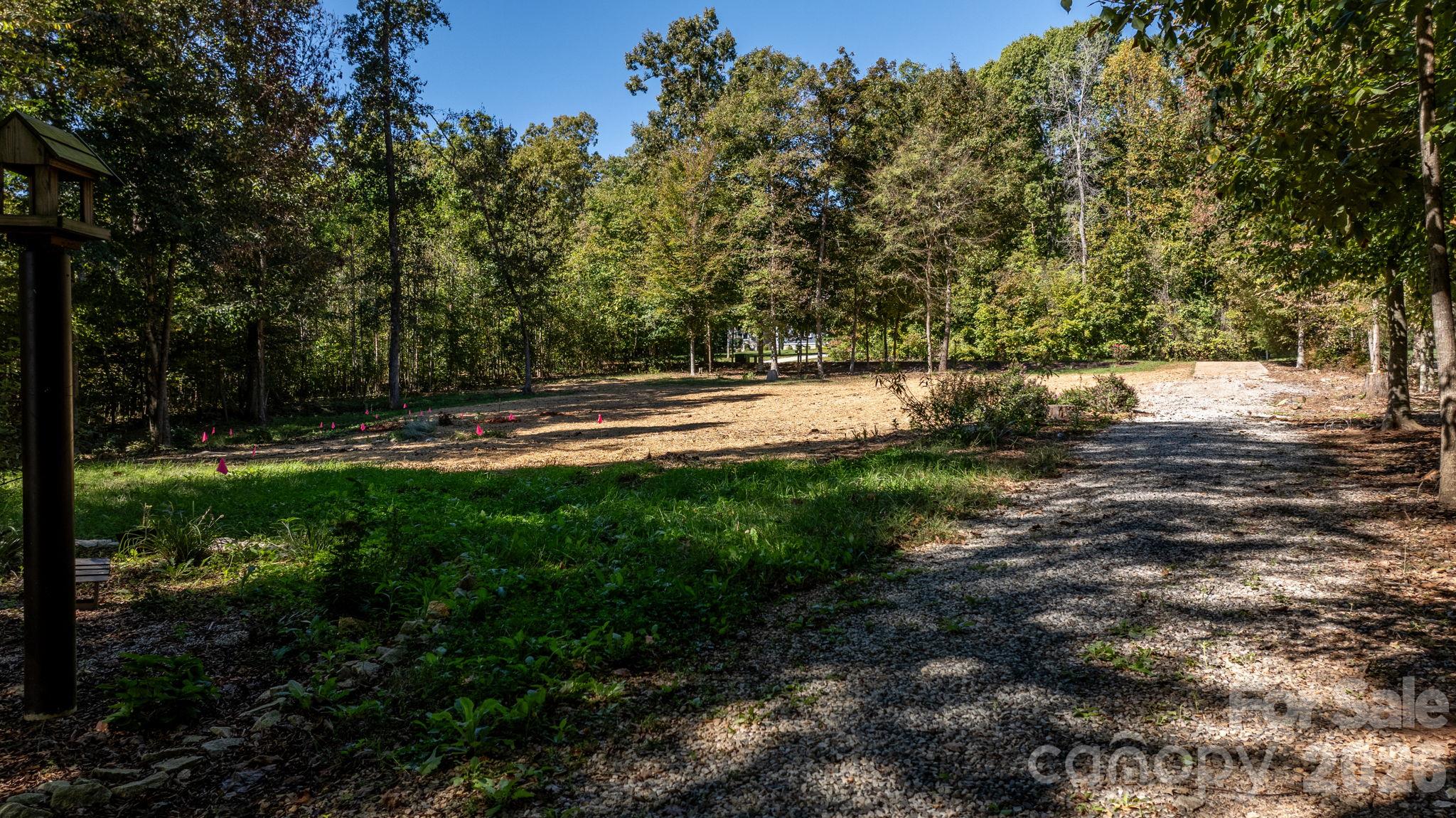 Driveway that continues down to the barn and pasture (This is facing towards the road) - 1190 Hinsdale Avenue, Mt Ulla
