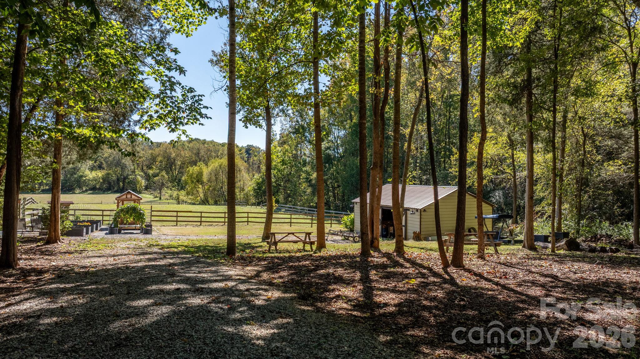 Driveway continuing to the barn and pasture - 1190 Hinsdale Avenue, Mt Ulla