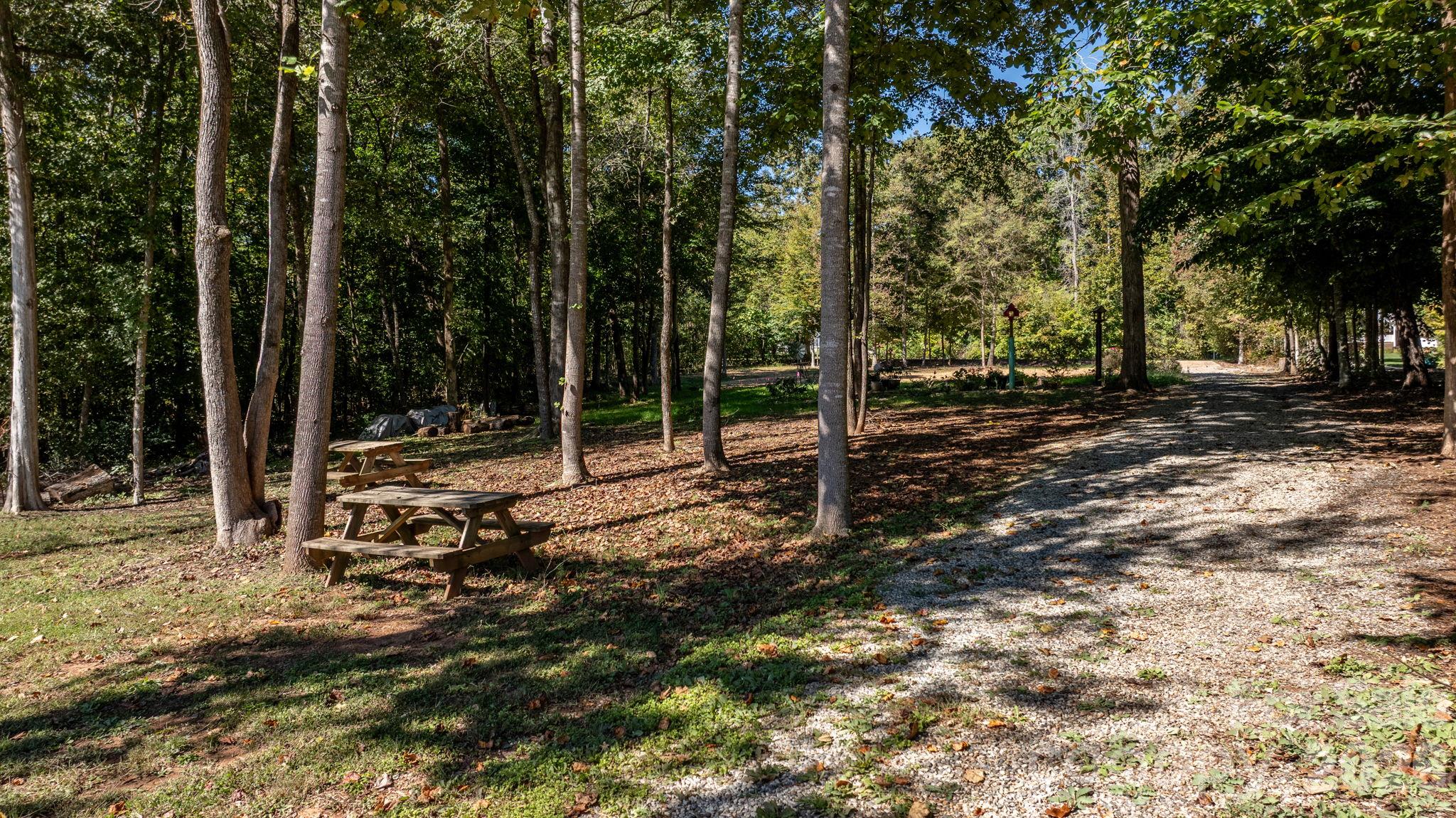Lot at 1190 Hinsdale Avenue, Mt Ulla, photo 15 of 48