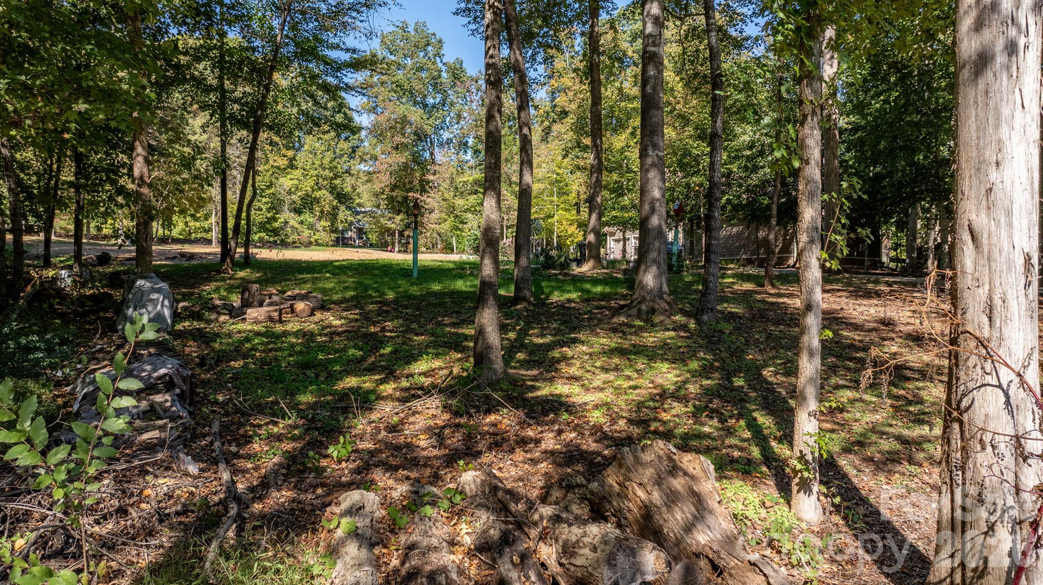 Lot at 1190 Hinsdale Avenue, Mt Ulla, photo 16 of 48