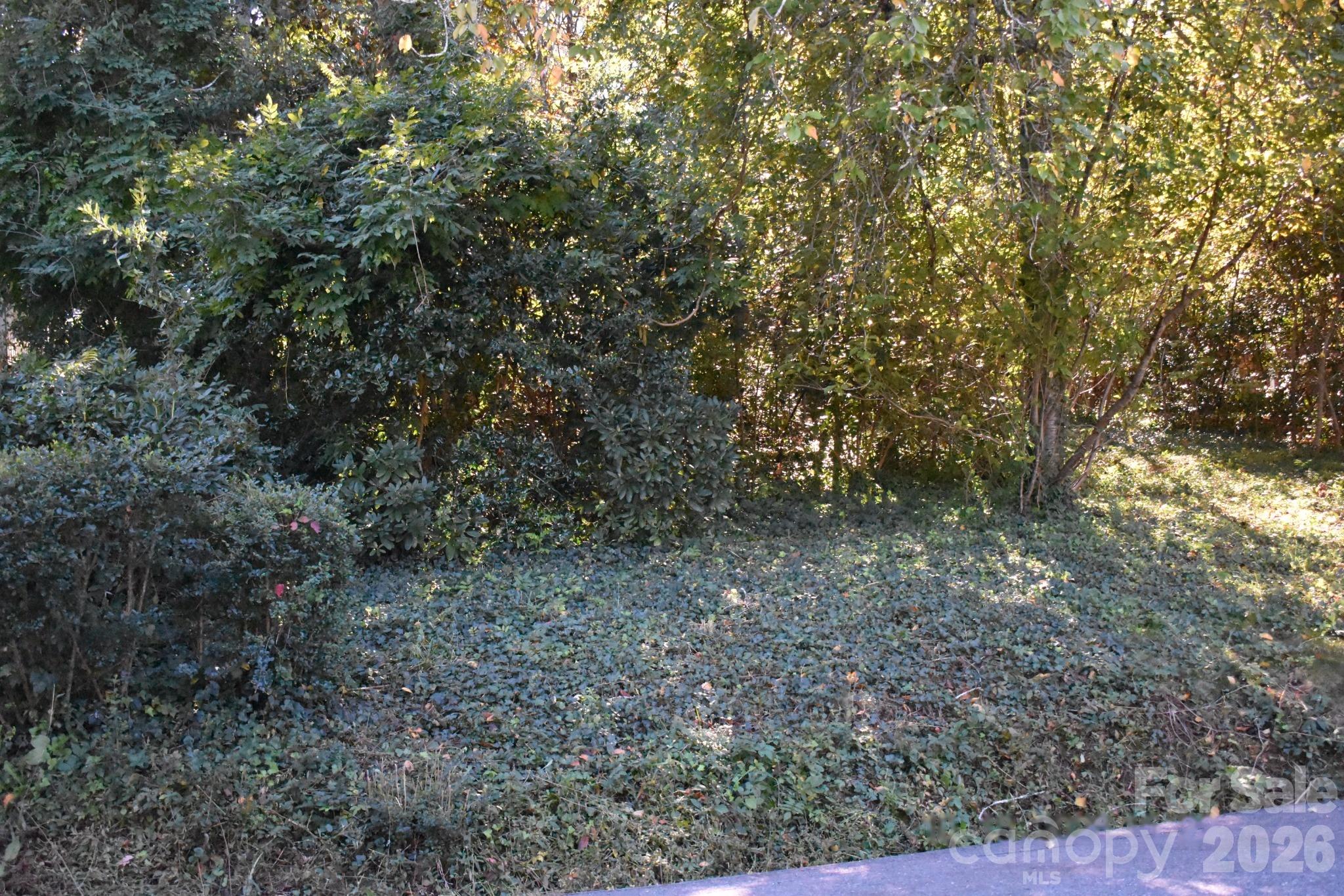 Left front View 2 - 0 Fernwood Drive, Rutherfordton