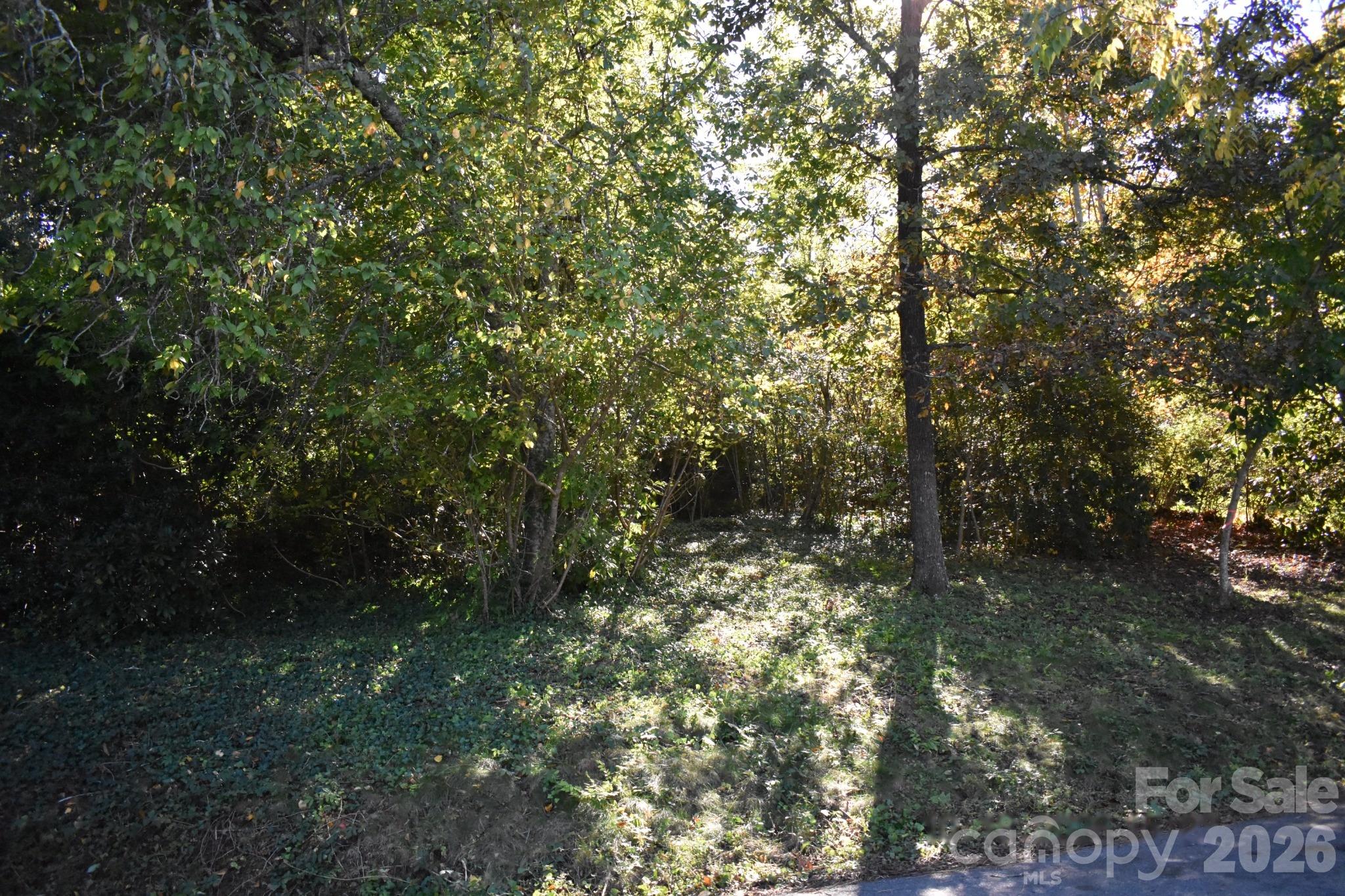 Left front of property - 0 Fernwood Drive, Rutherfordton