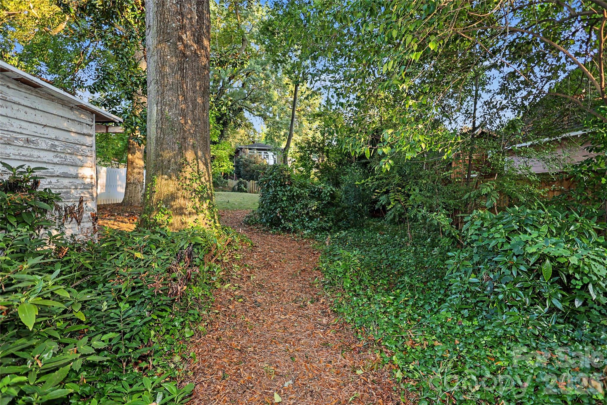 Gorgeous deep lot (225 feet) with so much potential - 1933 Park Road, Charlotte