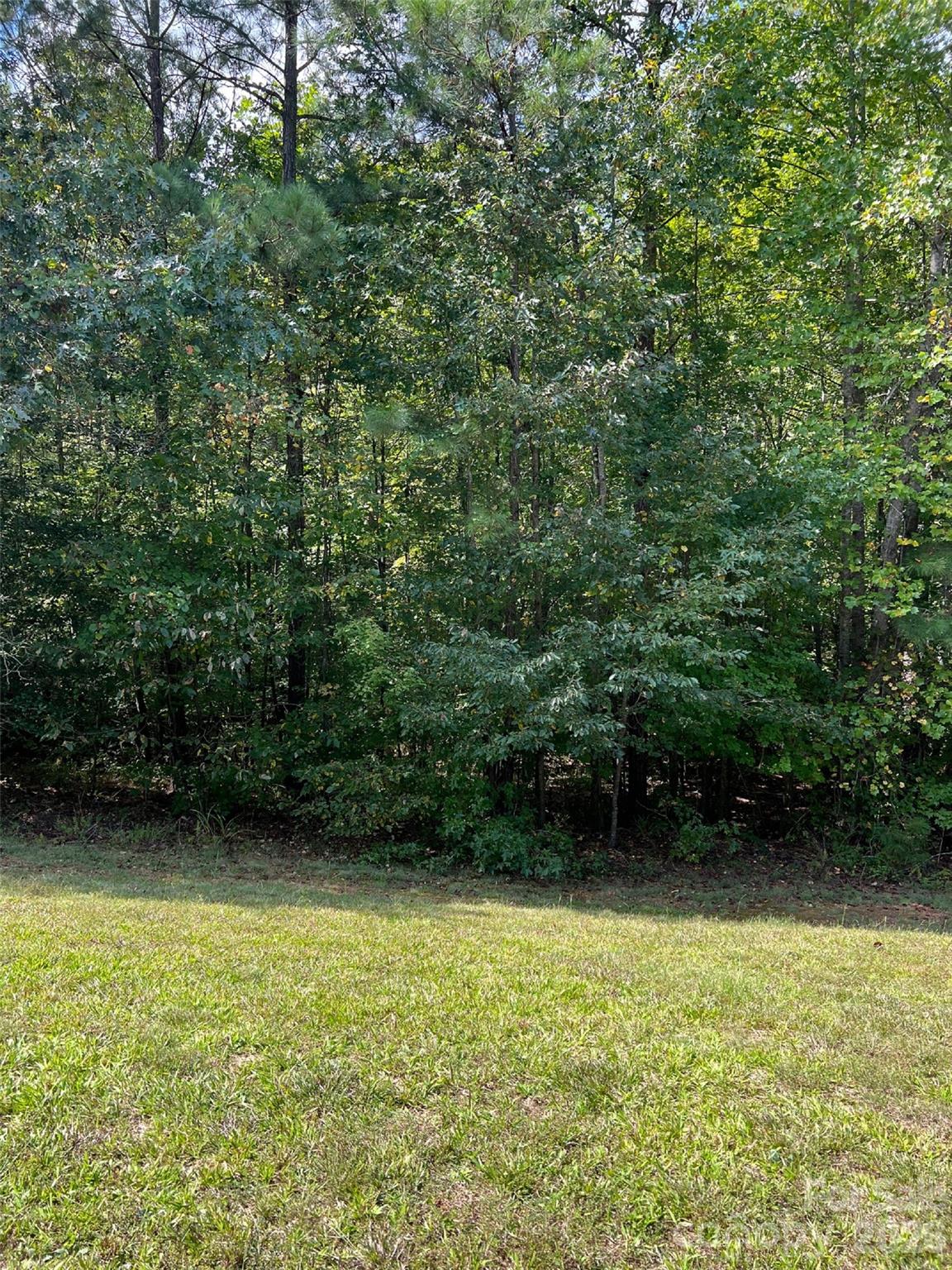 Acreage at TBD Sanctuary Lane, Lilesville, photo 3 of 7