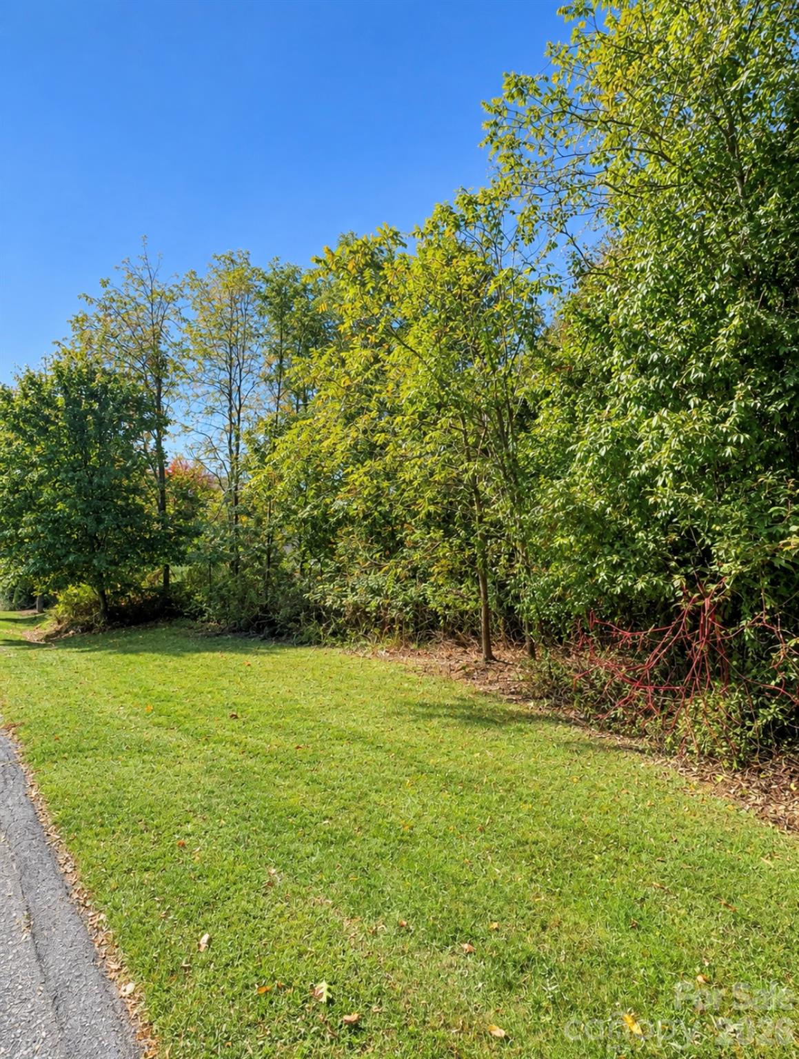 Lot at 0000 Ladys Fern Trail, Hendersonville, photo 5 of 13