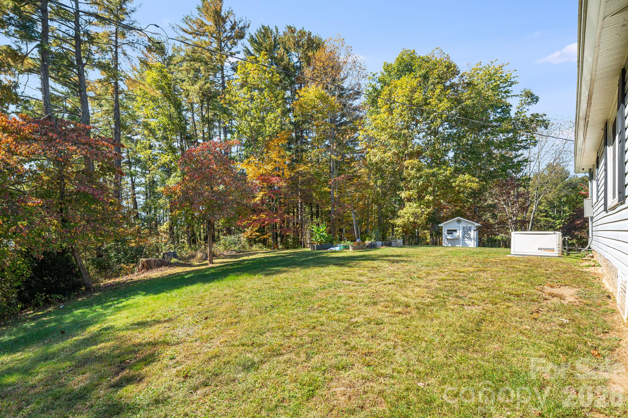 Side yard - 39 Brown Cove Road, Clyde