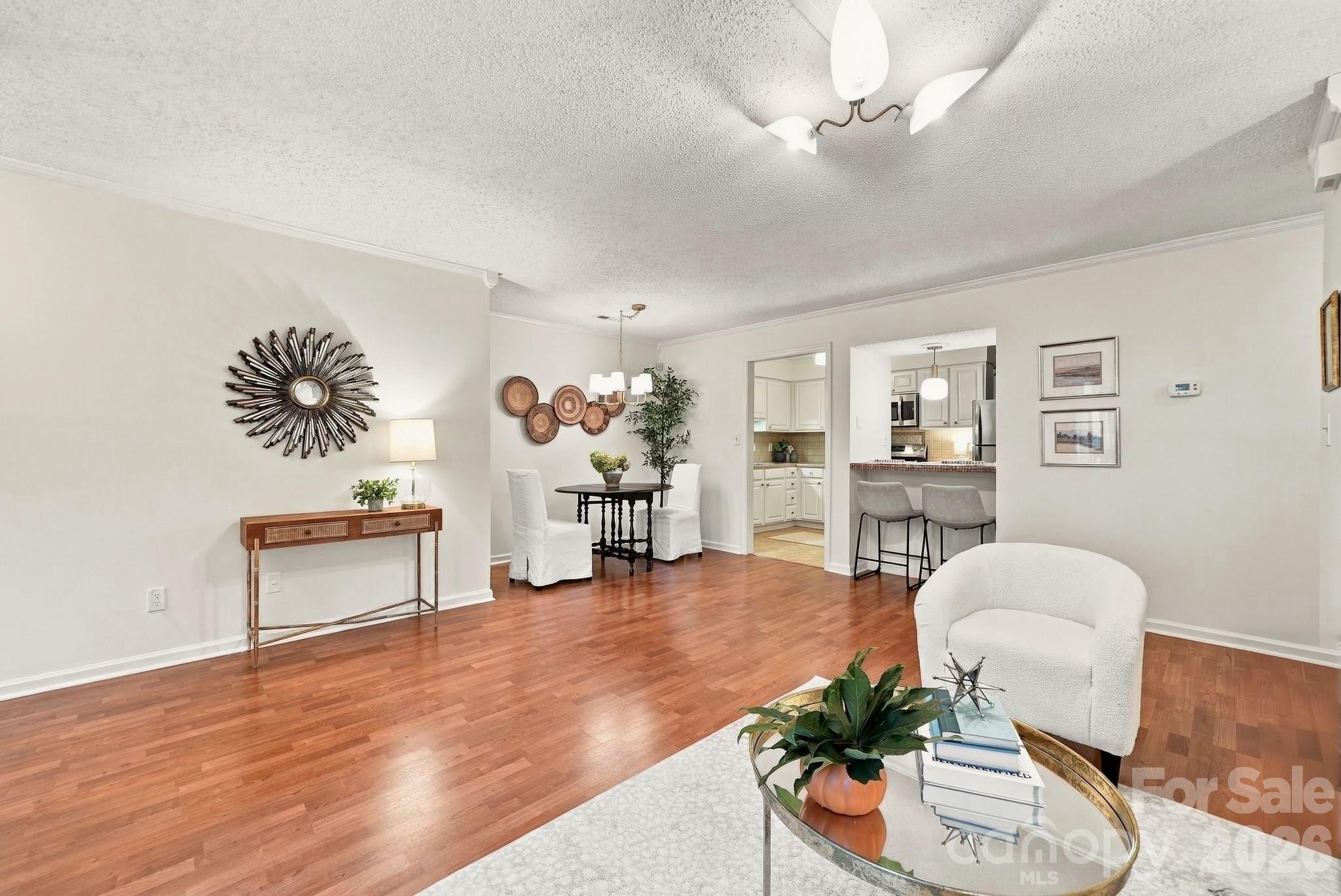 New light fixture in living room - 1051 Churchill Downs Court, Charlotte