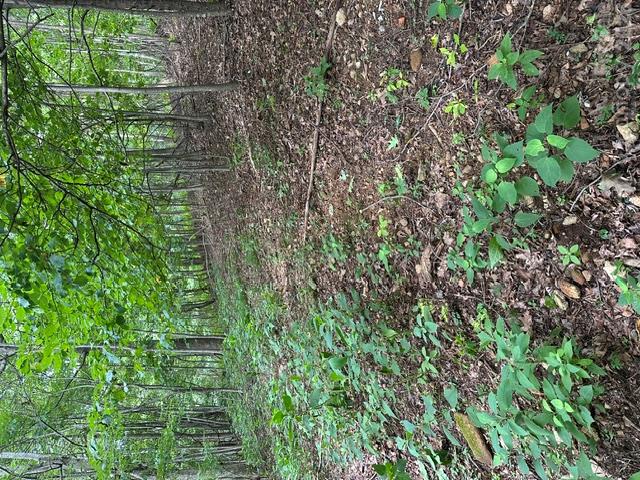 0 Threadway Ridge Drive