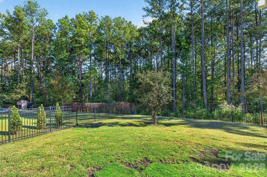 Single Family Residence at 2036 Sweet Magnolia Lane, Clover, photo 46 of 50