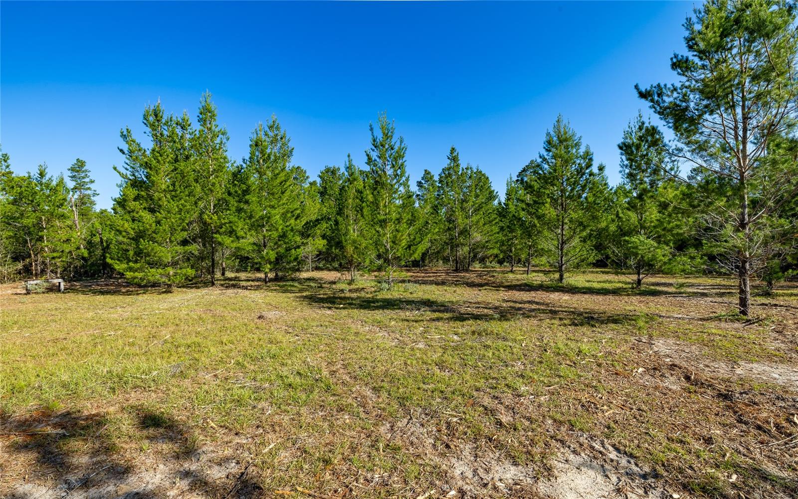 16308 SINGER RD