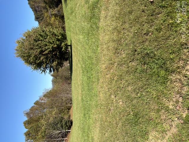 447 Hog Rock Road