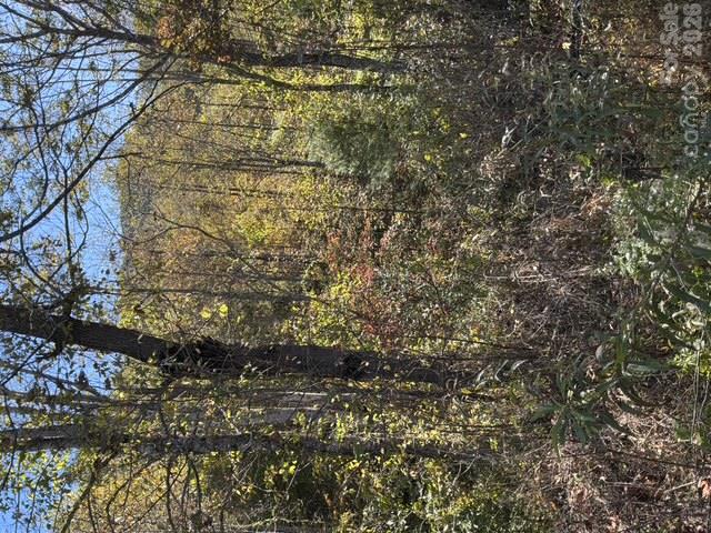 Acreage at 447 Hog Rock Road, Hendersonville, photo 46 of 48