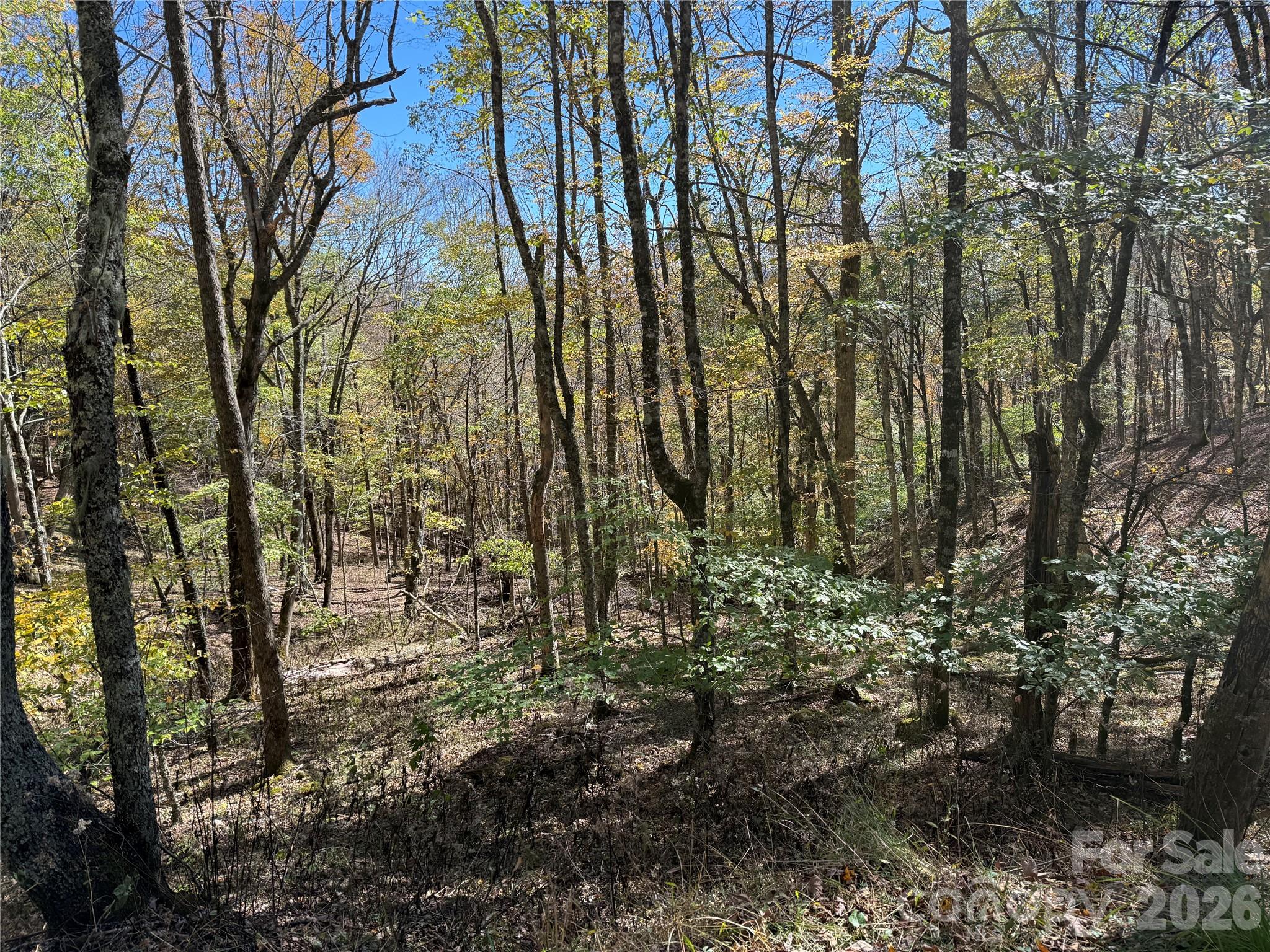 Lot at 22 Trillium Lane, Mars Hill, photo 6 of 27