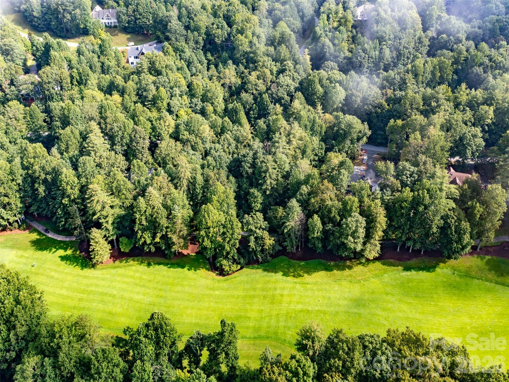 Lot at 153 Chattooga Run, Hendersonville, photo 2 of 24