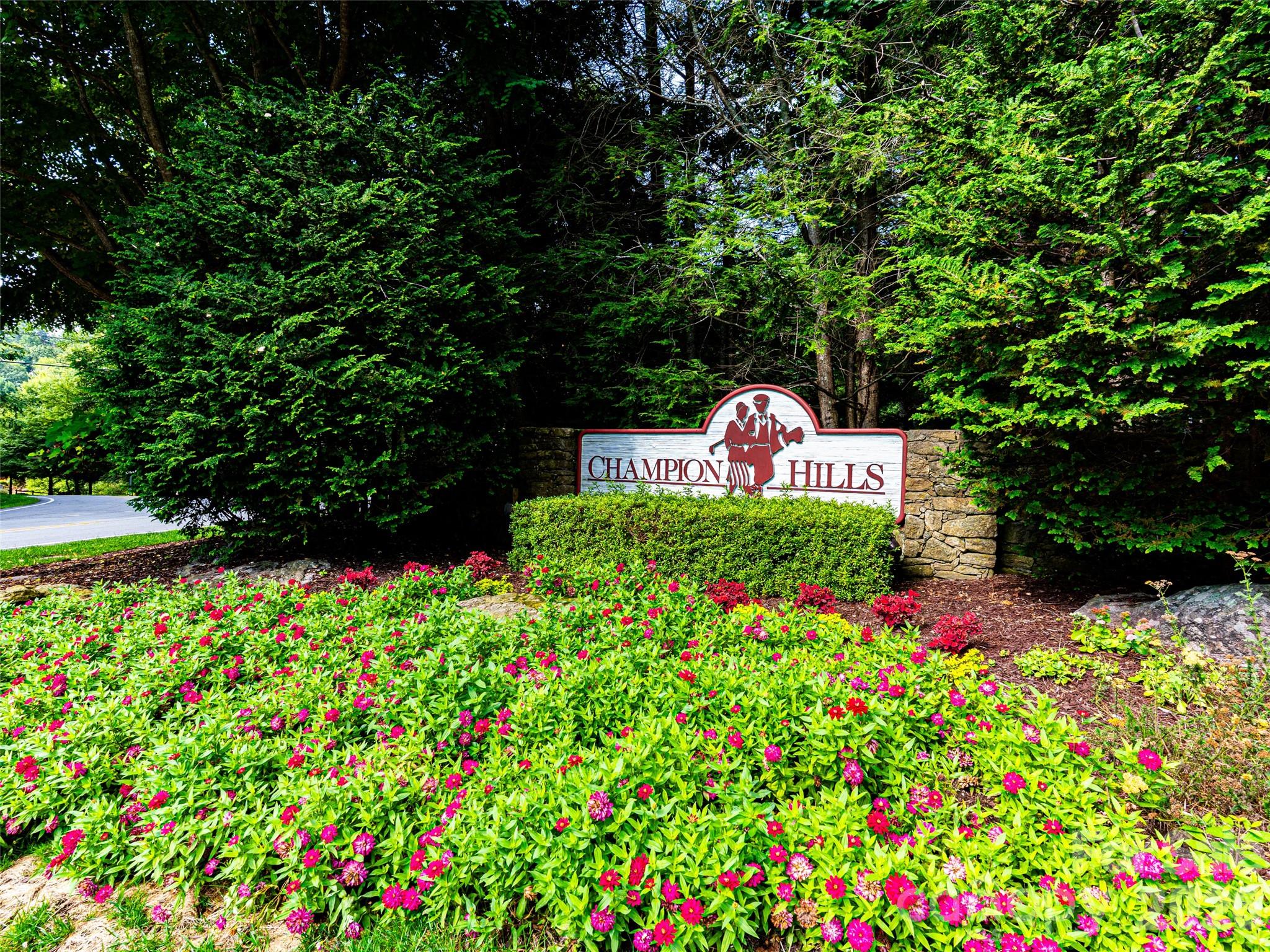 Lot at 153 Chattooga Run, Hendersonville, photo 3 of 24