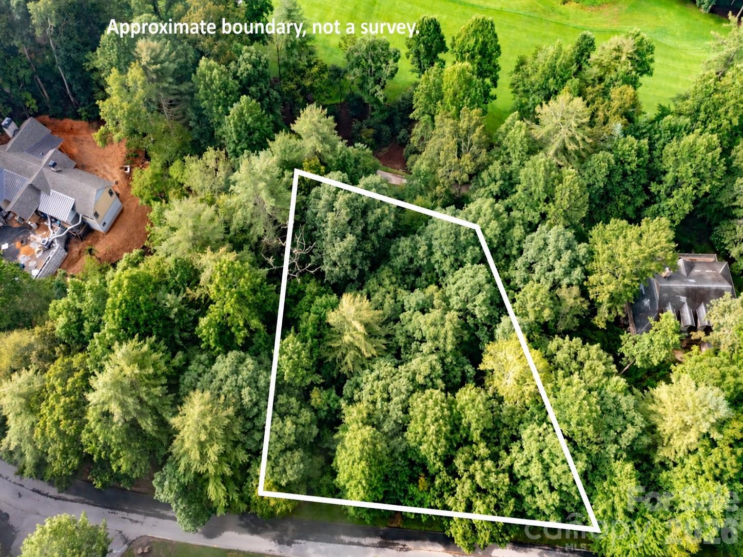 Lot at 153 Chattooga Run, Hendersonville, photo 6 of 24