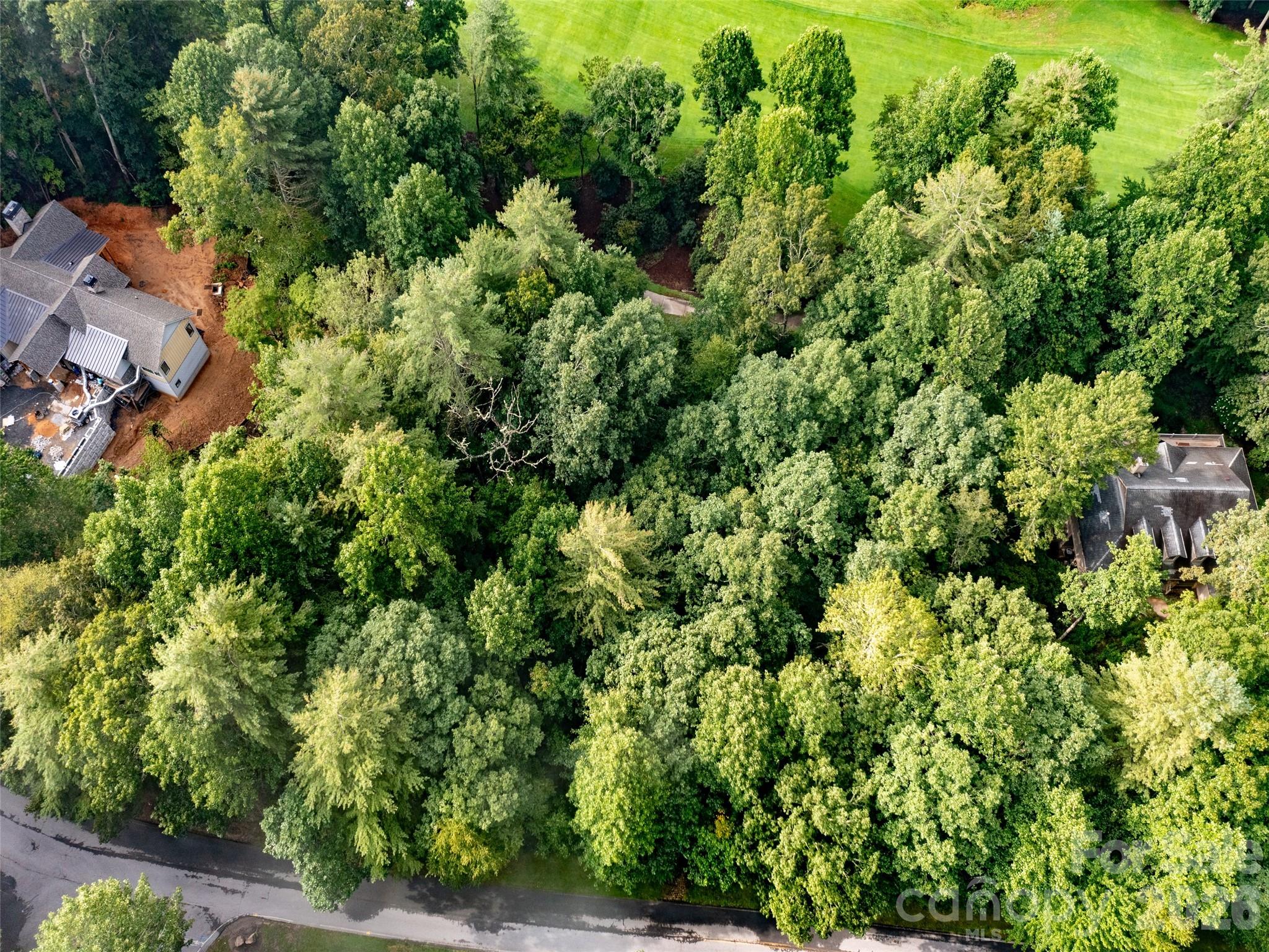 Lot at 153 Chattooga Run, Hendersonville, photo 10 of 24