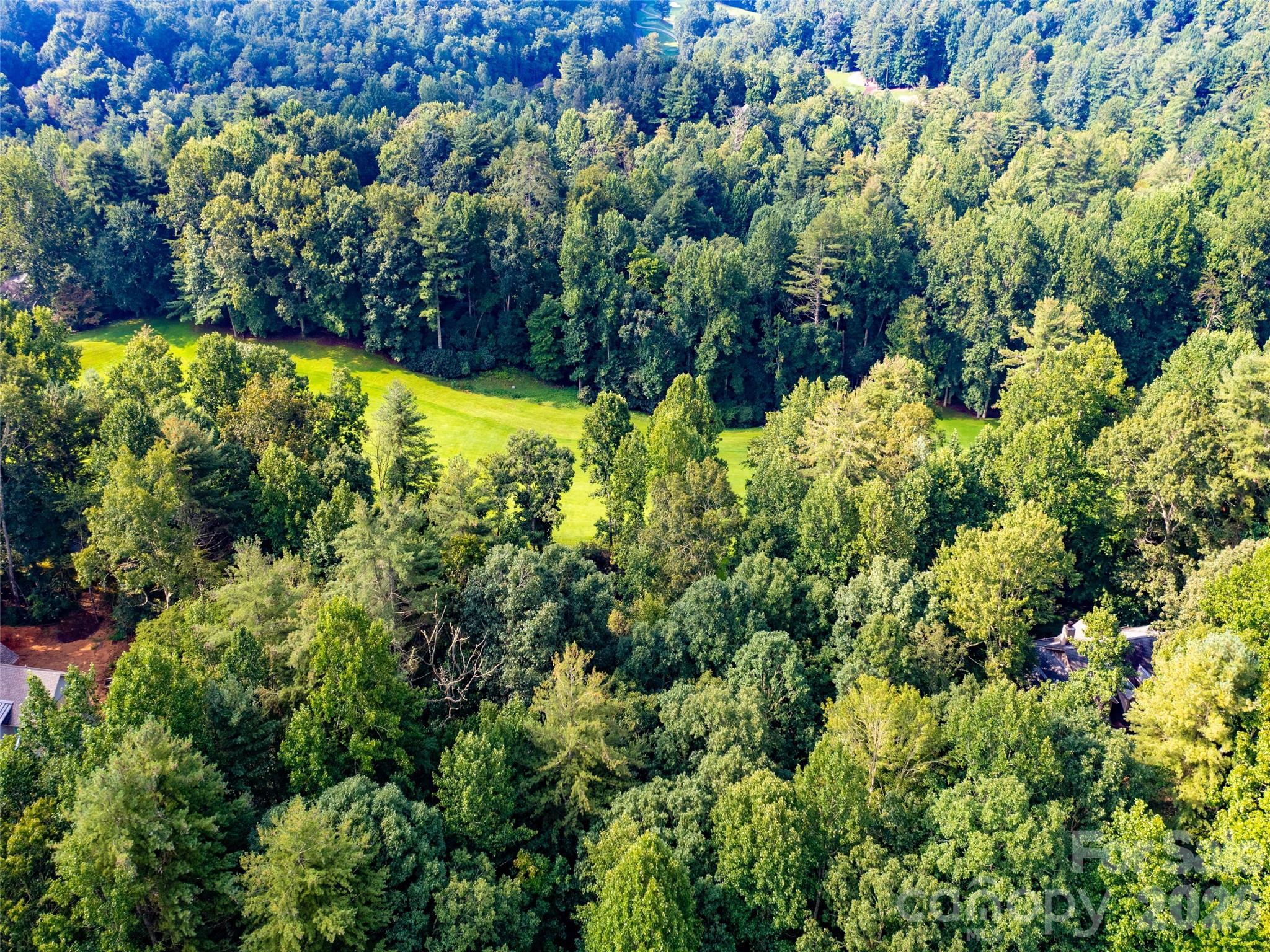 Lot at 153 Chattooga Run, Hendersonville, photo 11 of 24