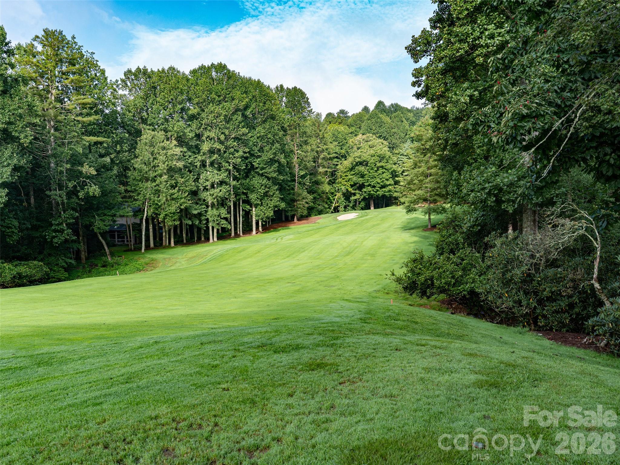 Lot at 153 Chattooga Run, Hendersonville, photo 14 of 24