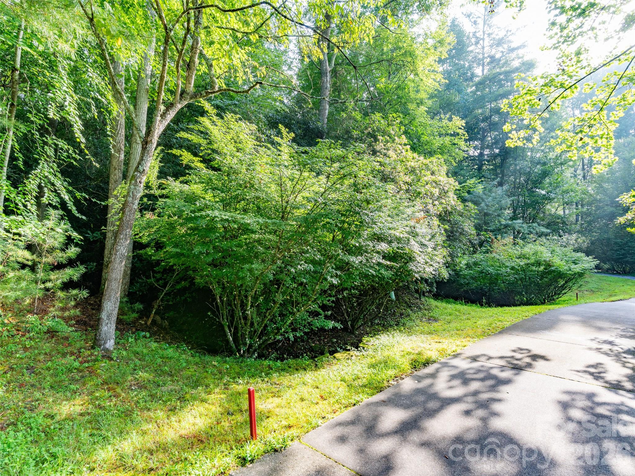 Lot at 153 Chattooga Run, Hendersonville, photo 15 of 24