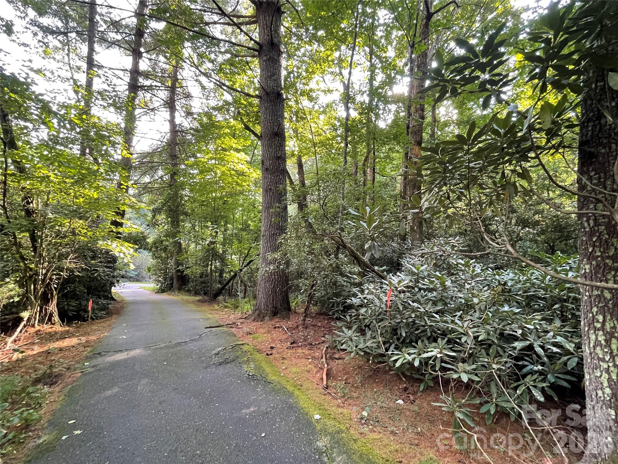 Lot at 153 Chattooga Run, Hendersonville, photo 16 of 24