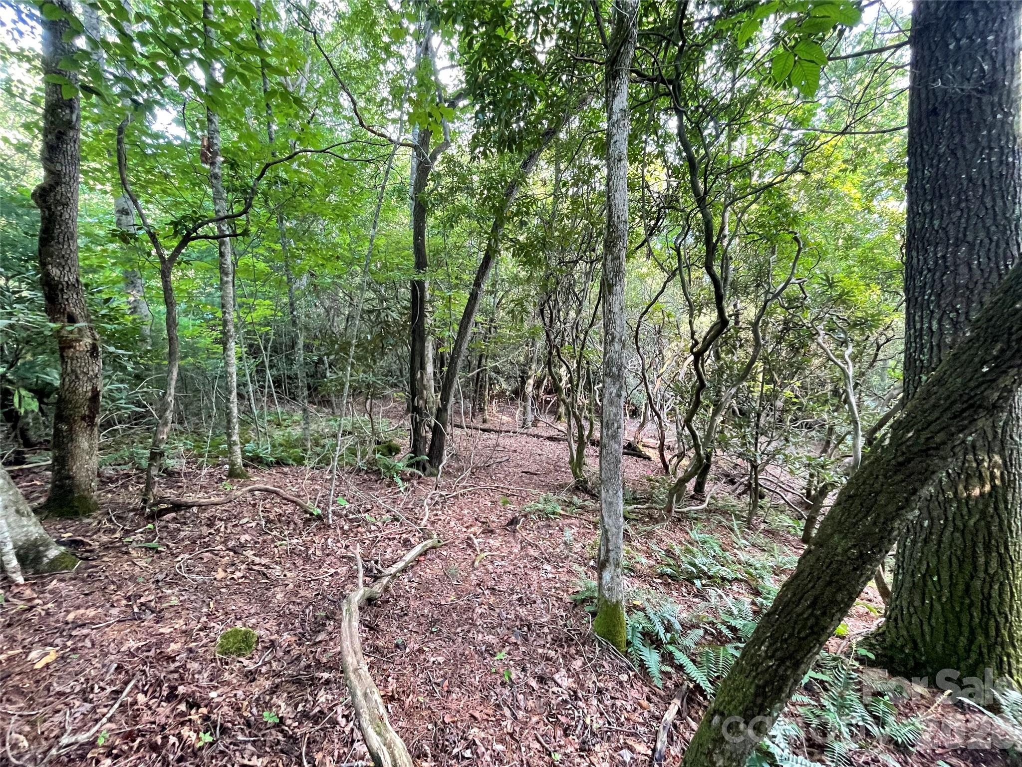 Lot at 153 Chattooga Run, Hendersonville, photo 17 of 24