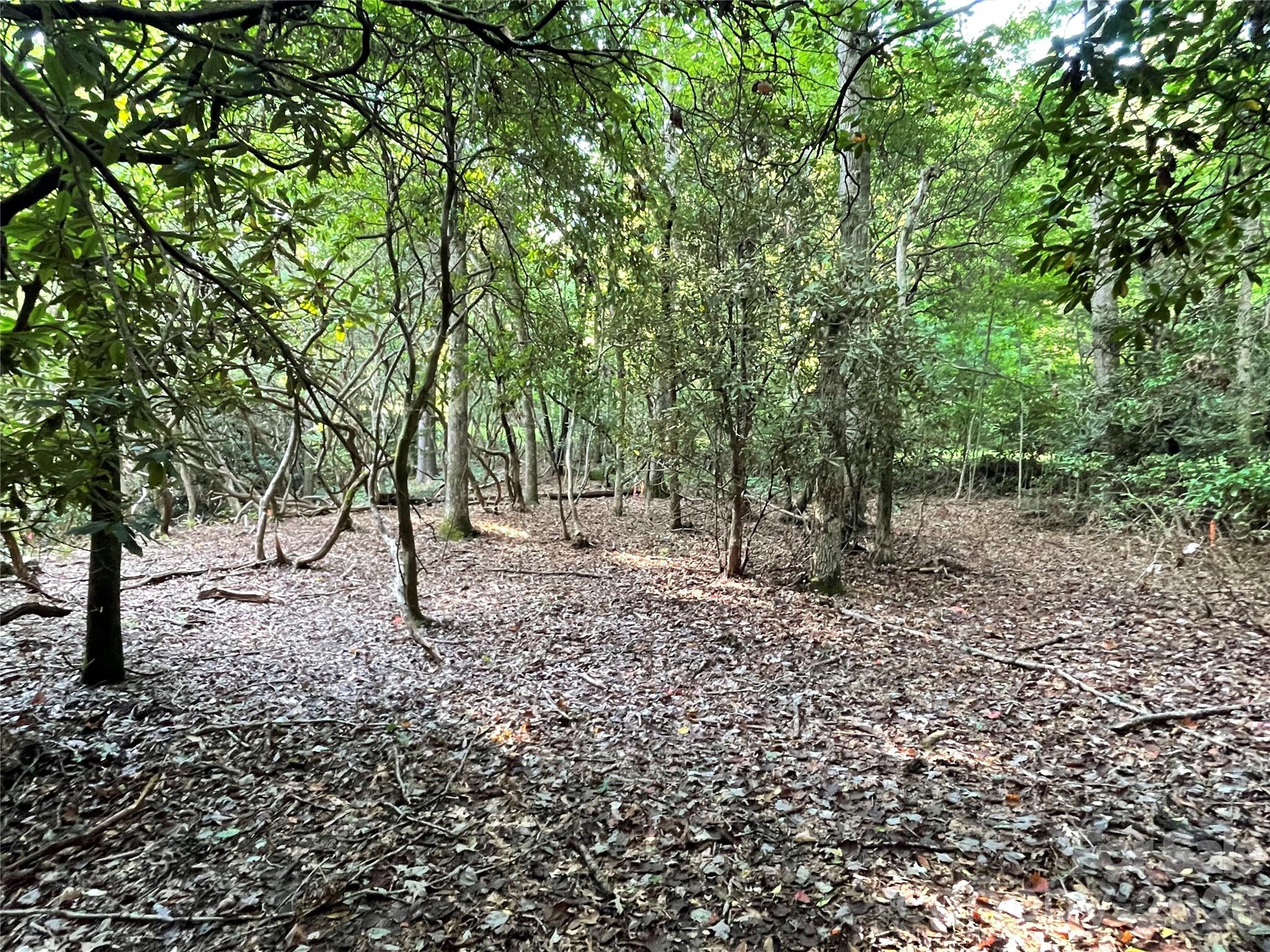 Lot at 153 Chattooga Run, Hendersonville, photo 18 of 24